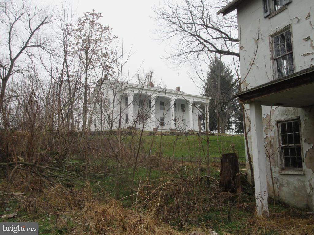 MOUNT JOY - Farm