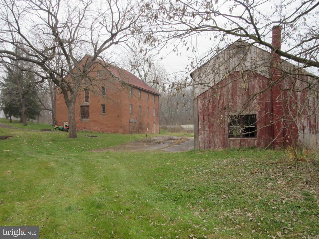 MOUNT JOY - Farm