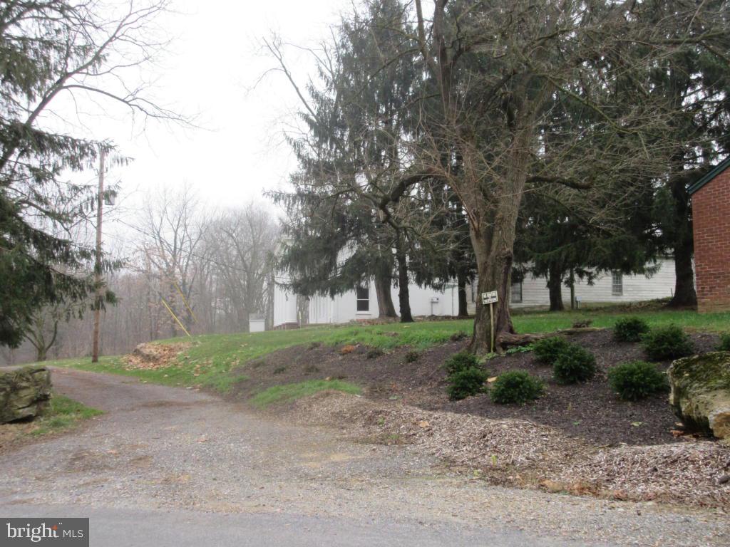 MOUNT JOY - Farm