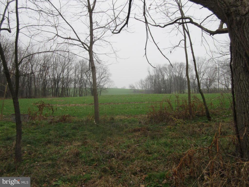 MOUNT JOY - Farm