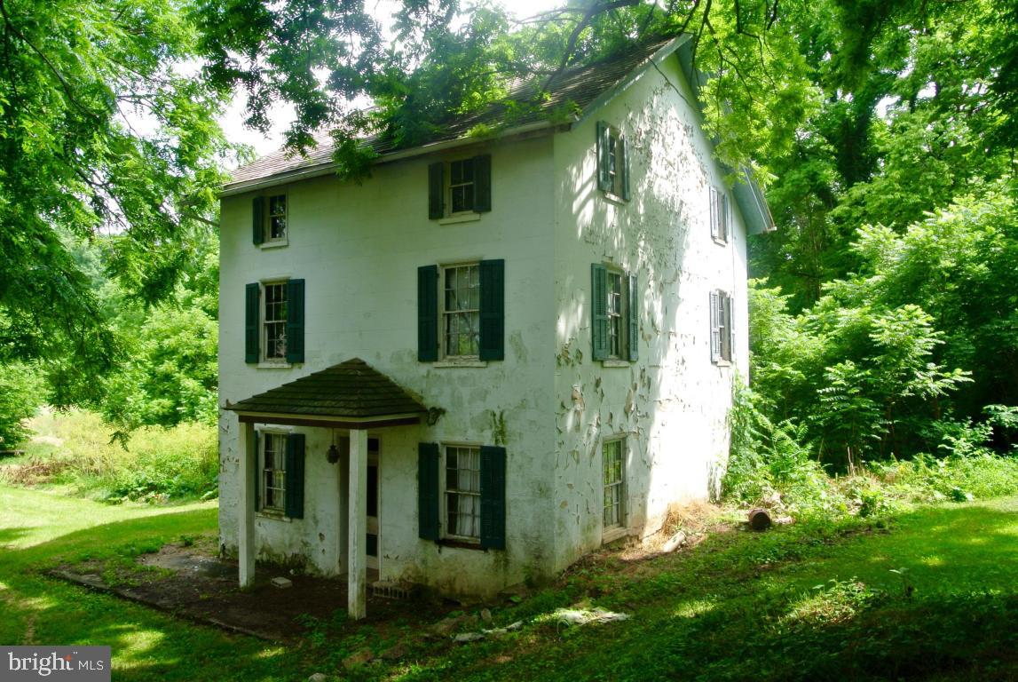 MOUNT JOY - Farm