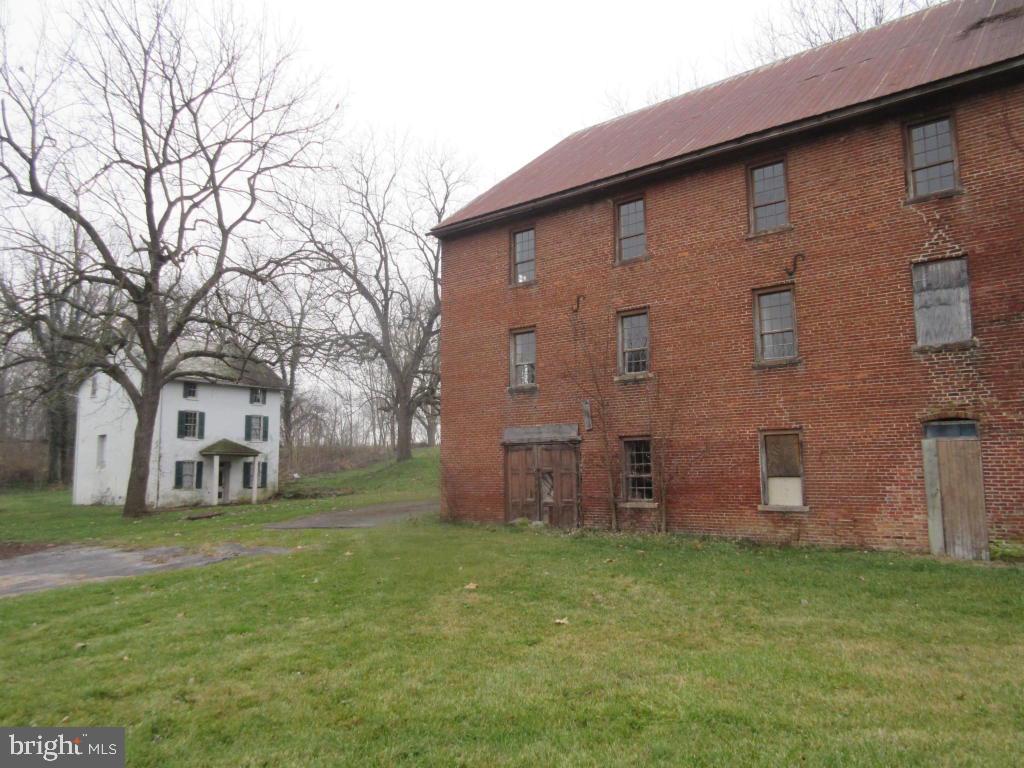 MOUNT JOY - Farm