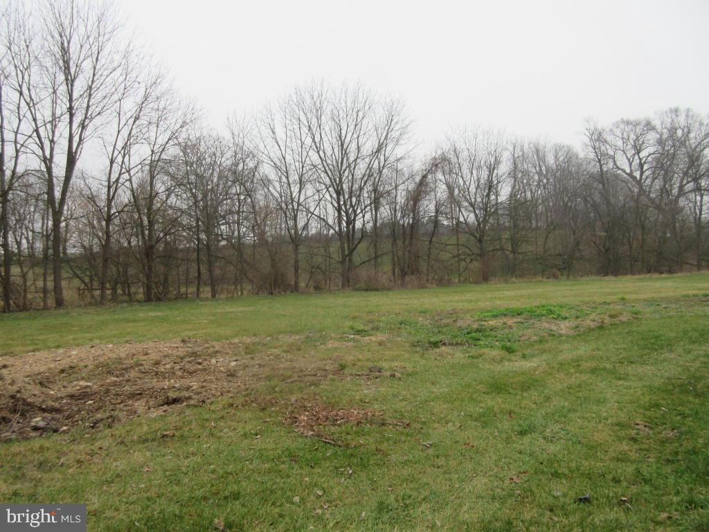 MOUNT JOY - Farm