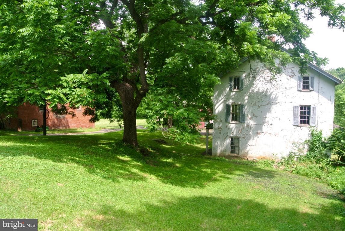 MOUNT JOY - Farm