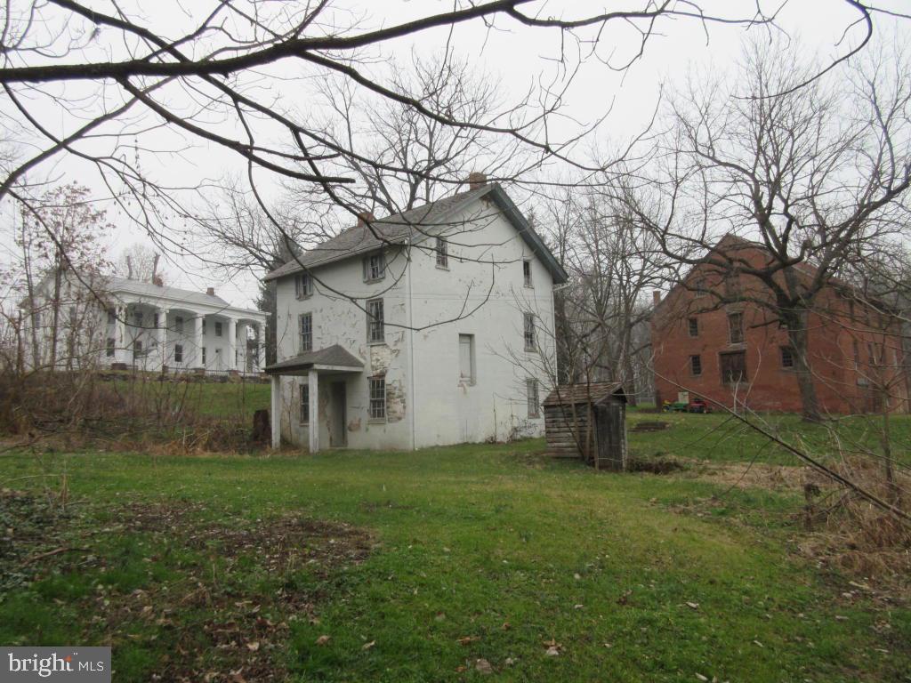 MOUNT JOY - Farm