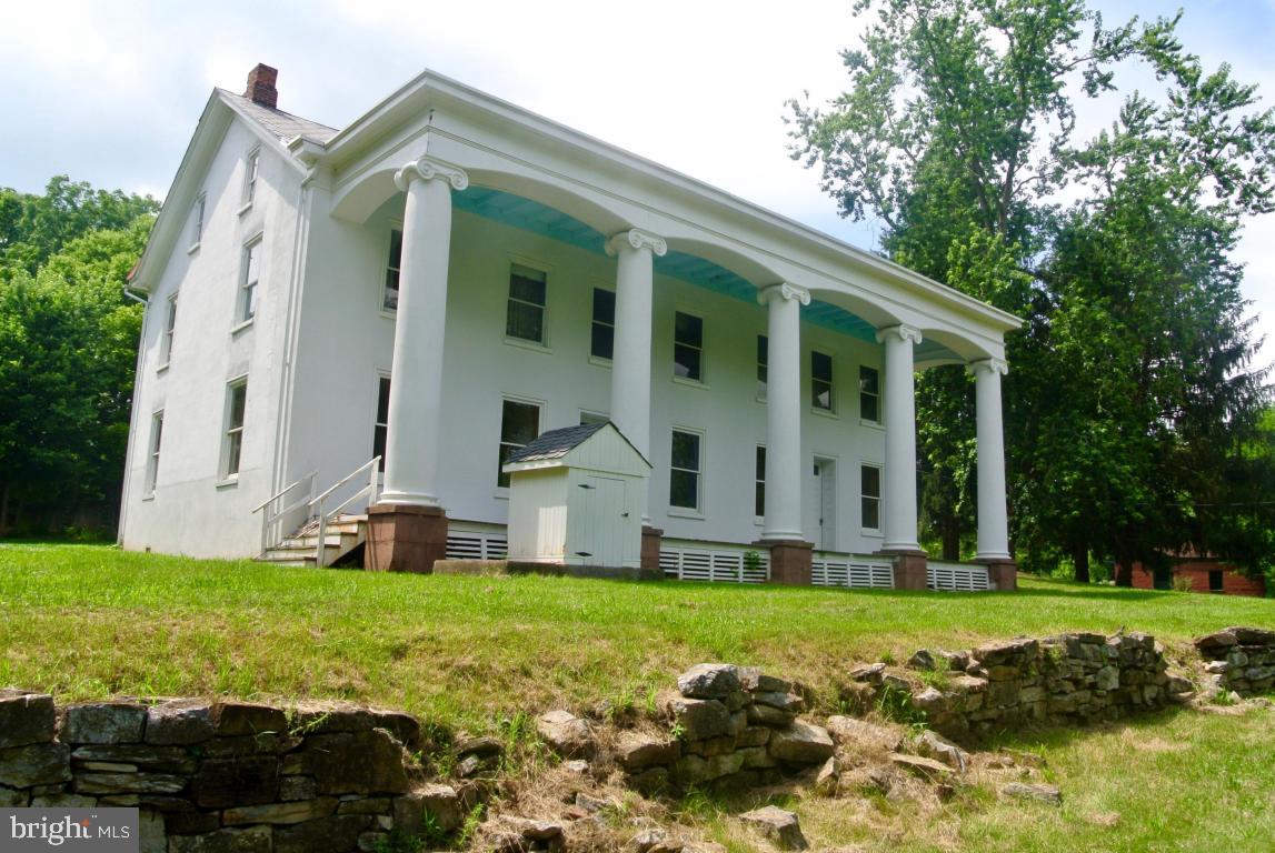 MOUNT JOY - Farm