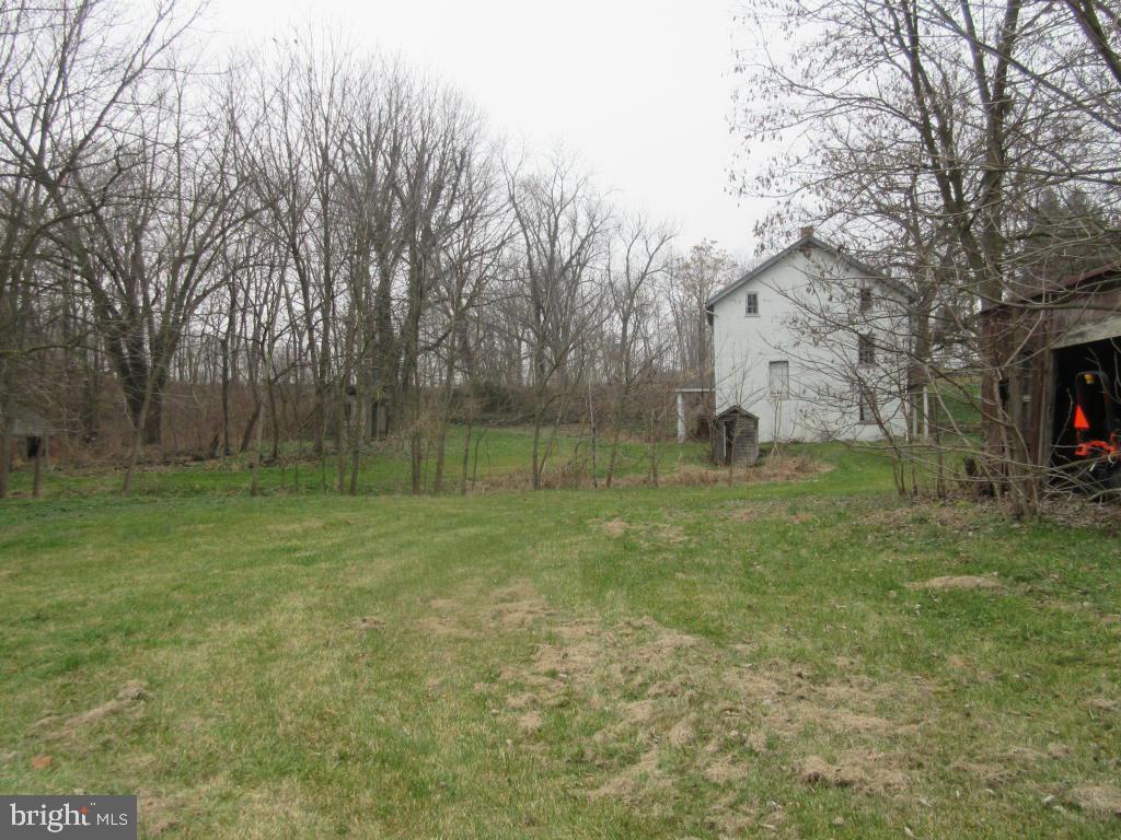 MOUNT JOY - Farm