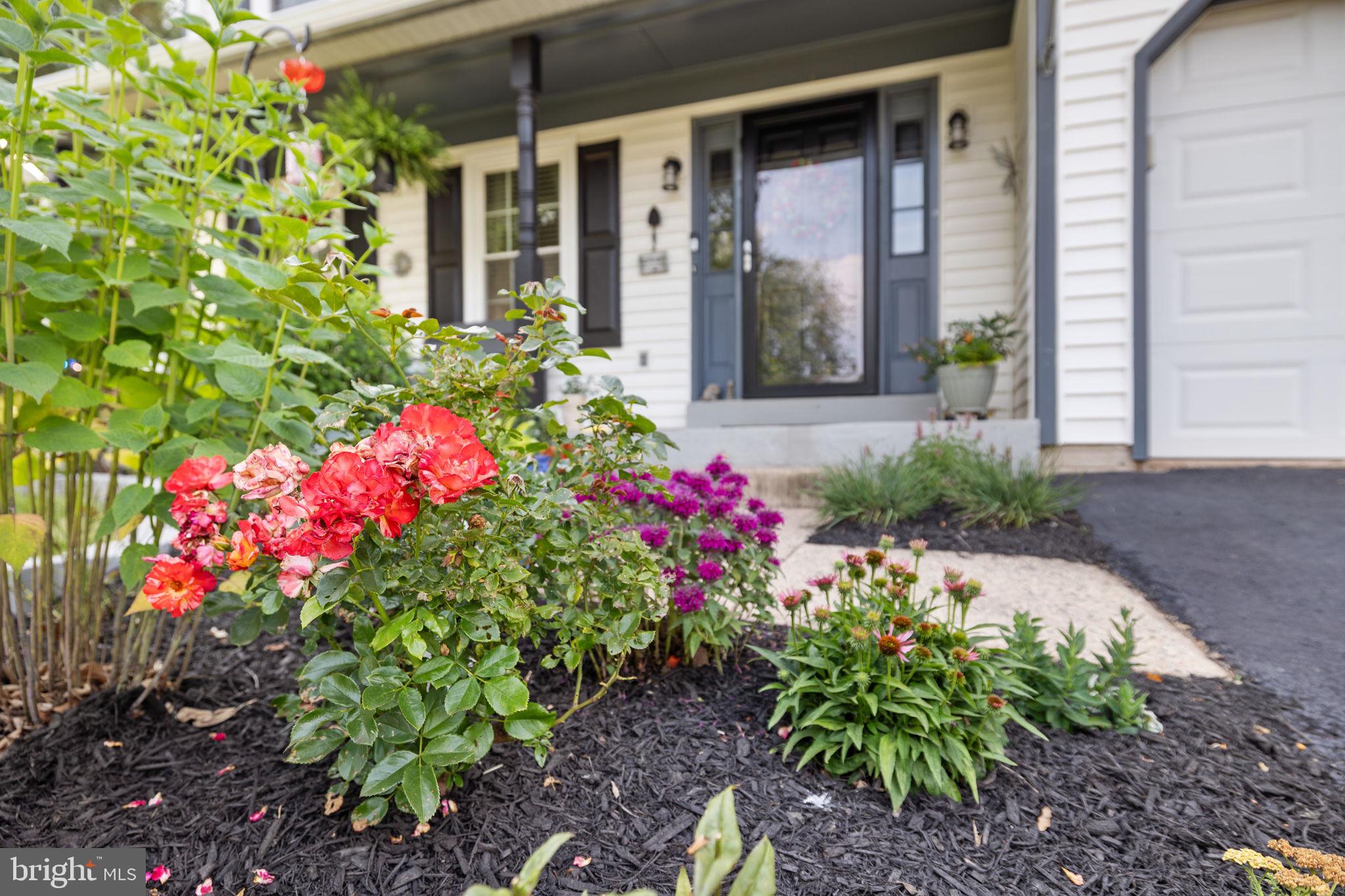 ROCKY RUN - Residential