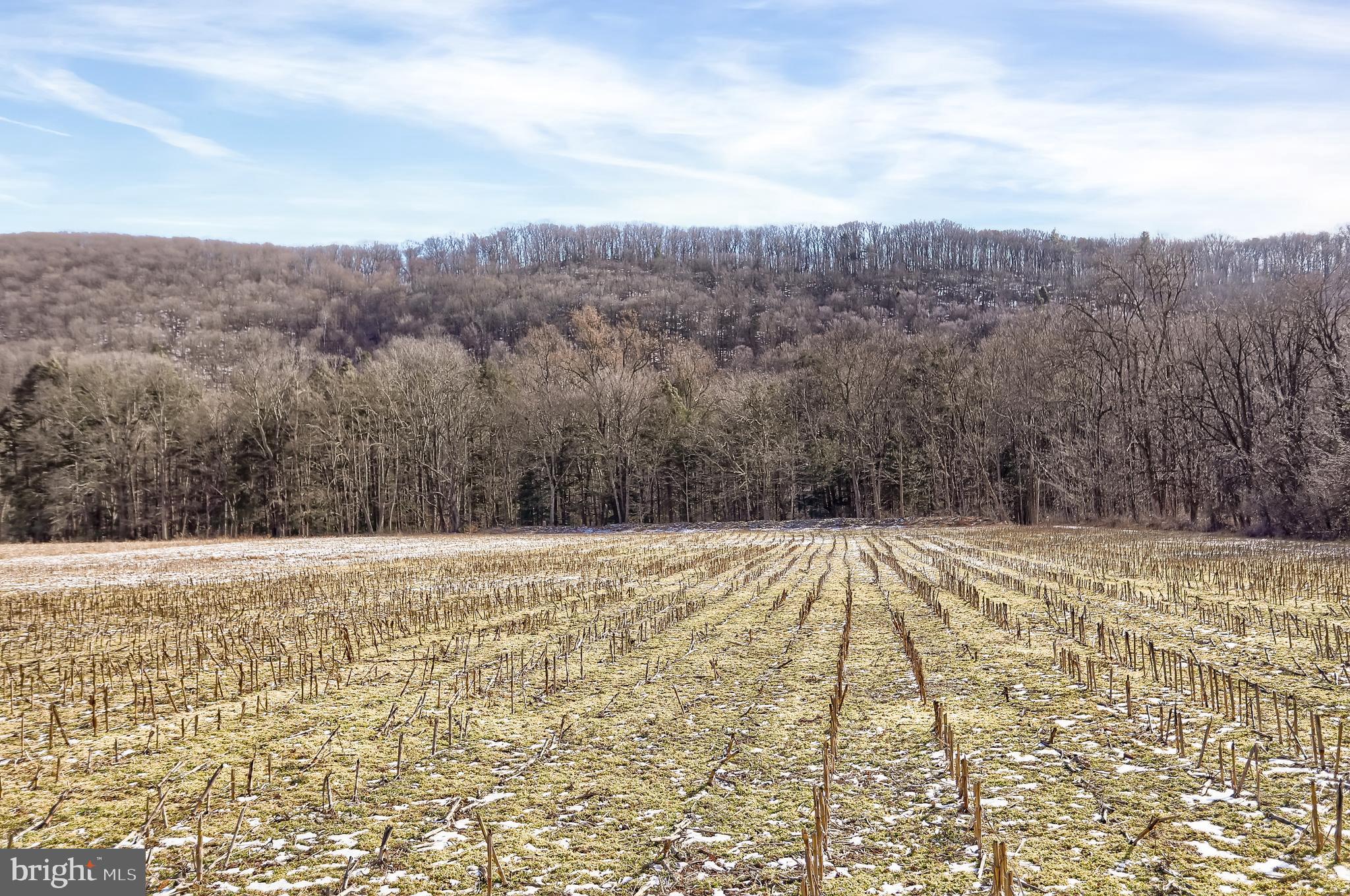 PERRY COUNTY - Farm