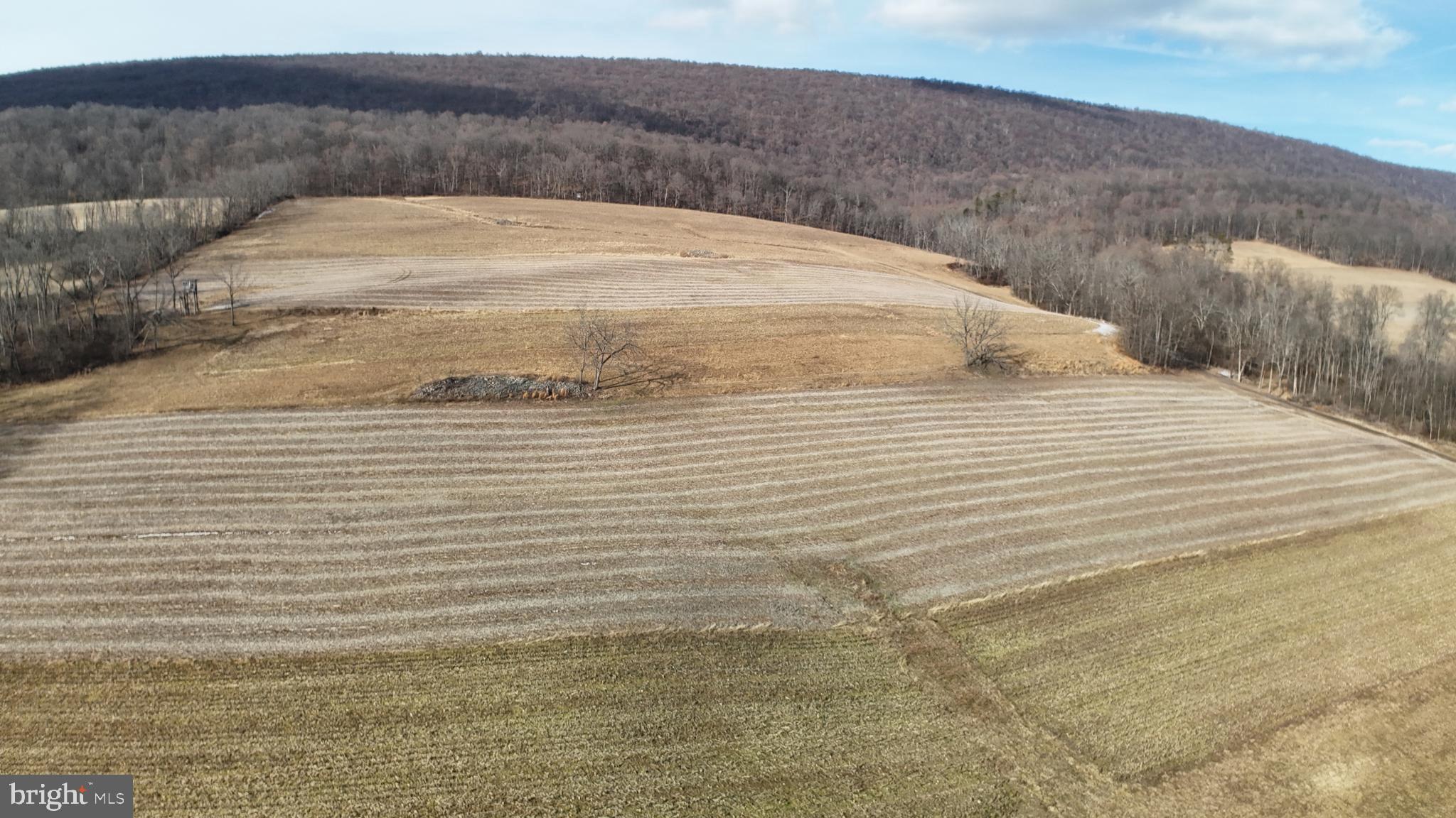 PERRY COUNTY - Farm