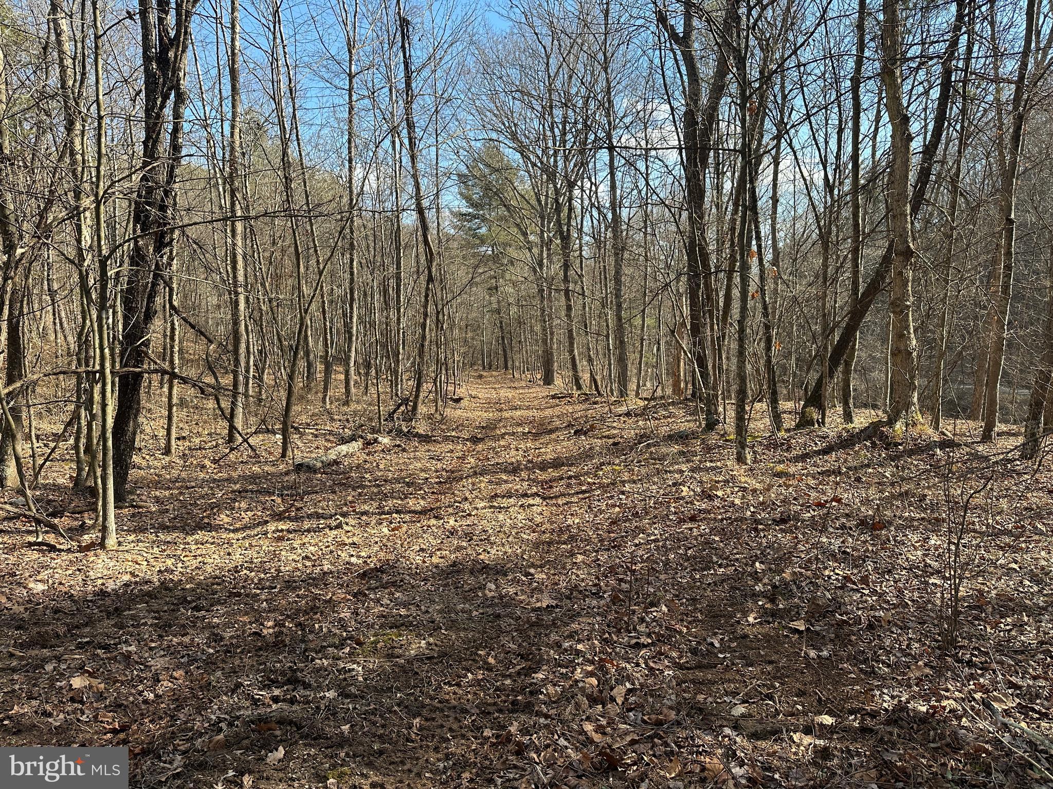 BLUFFS ON THE POTOMAC - Land