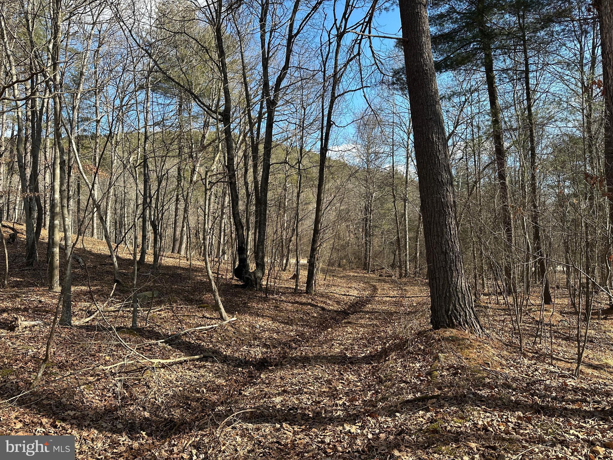 BLUFFS ON THE POTOMAC - Land