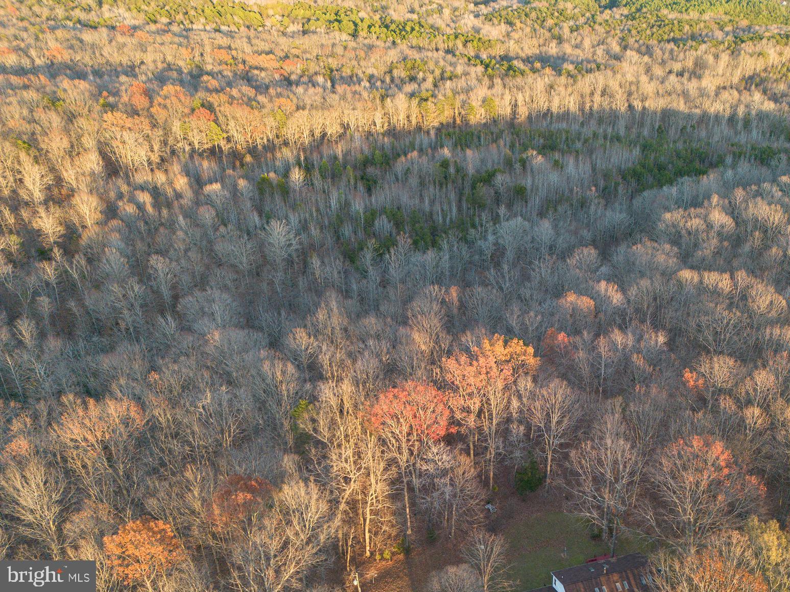 55.872 Acres