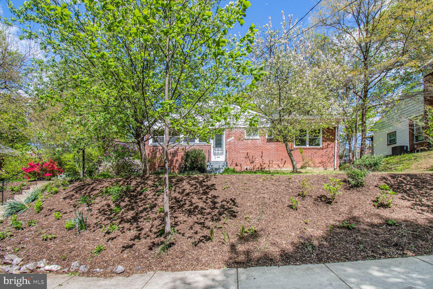 TAKOMA PARK - Residential