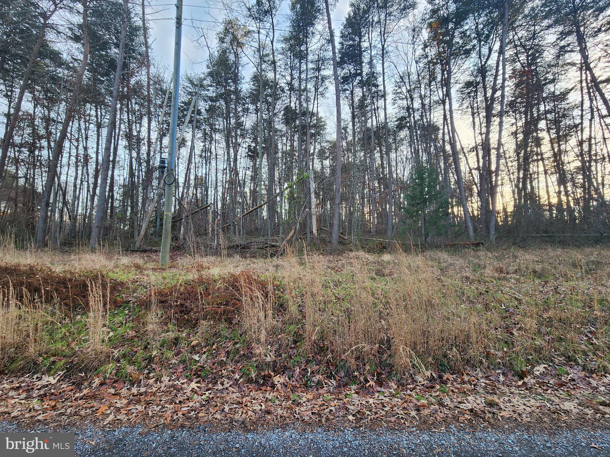 GREENSPRINGS - Land