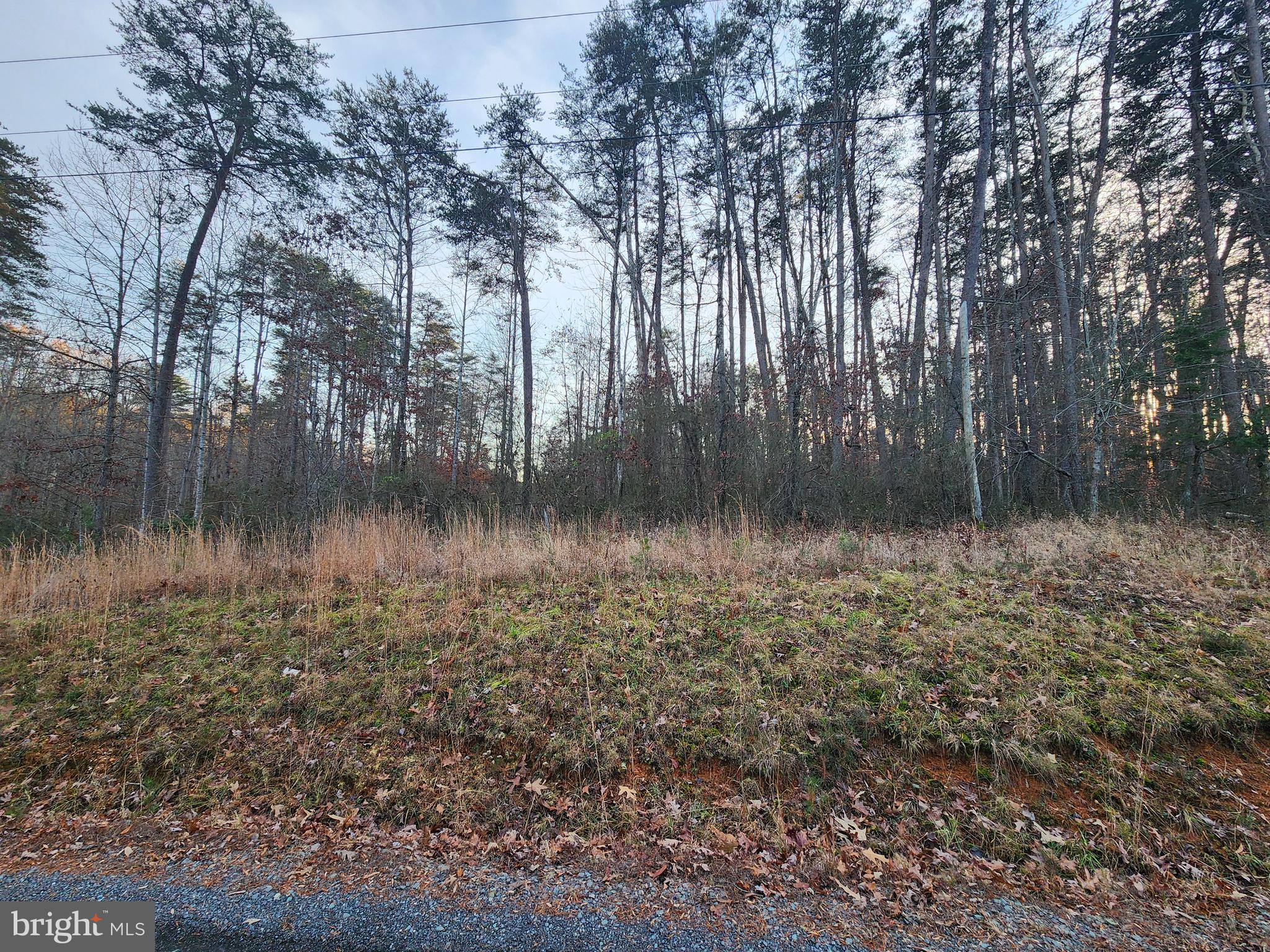 GREENSPRINGS - Land