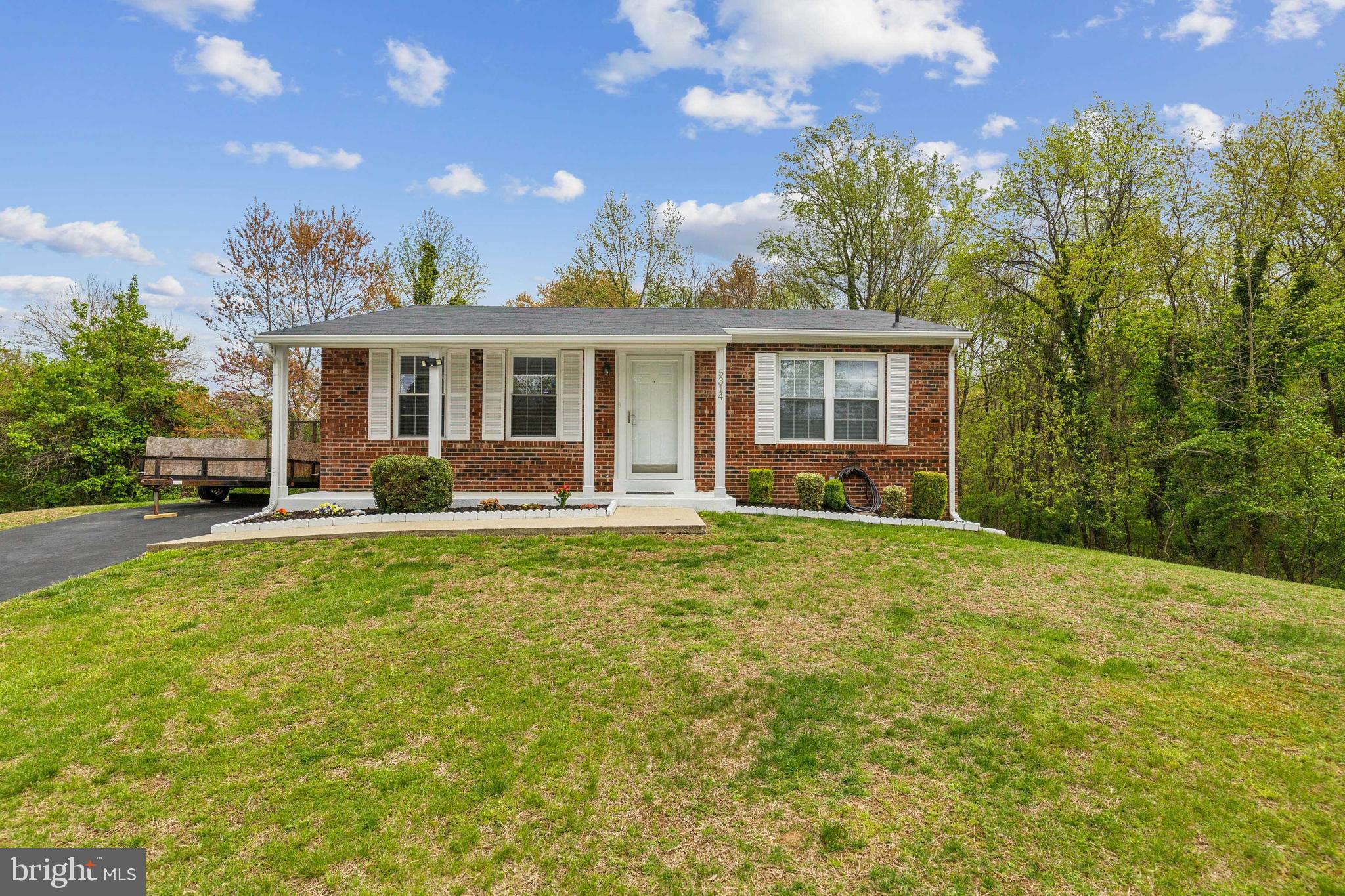 PINE TREE - Residential