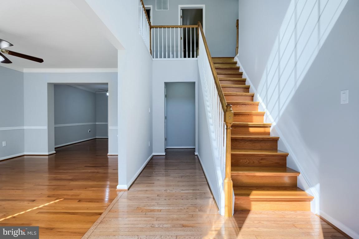 MIDDLEBURY - Residential