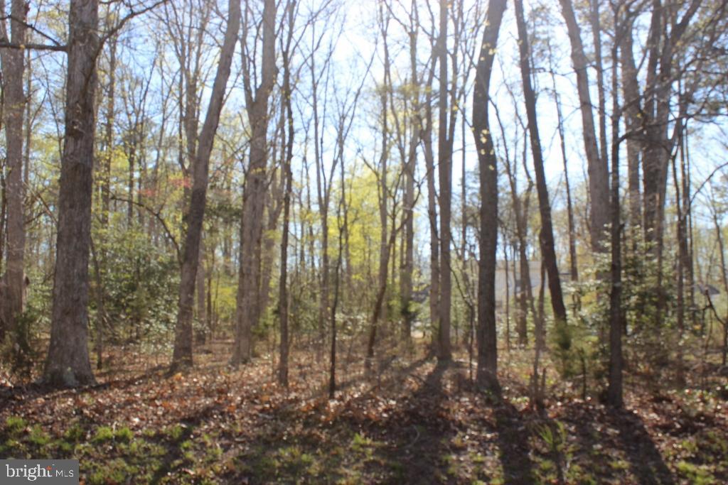 4/2296 Level, wooded lot tucked away just off Captains Corridor and close to the amenities. Lot has water availability, 3BR Cert. Letter & Wetland Determination Study on file. Located in a highly sought-after area of Captains Cove.  Seller owns additional lot Sec 3/Lot 1601 High Sea Dr and is willing to sell as a package deal $25,000. Buy now and build later, take advantage of this great buy! No time frame to build and no builder tie-in. Enjoy all the amenities and the lifestyle on the Eastern Shore of VA. Close to Chincoteague Island, Wallops Island and Ocean City MD. HOA Amenities: Pristine 9 Hole Golf Course, indoor/outdoor pools (2), fitness center, Basketball & Pickle-ball courts, boat ramp, docks, playground, biking & walking trails, picnic area, dog park security and so much more.