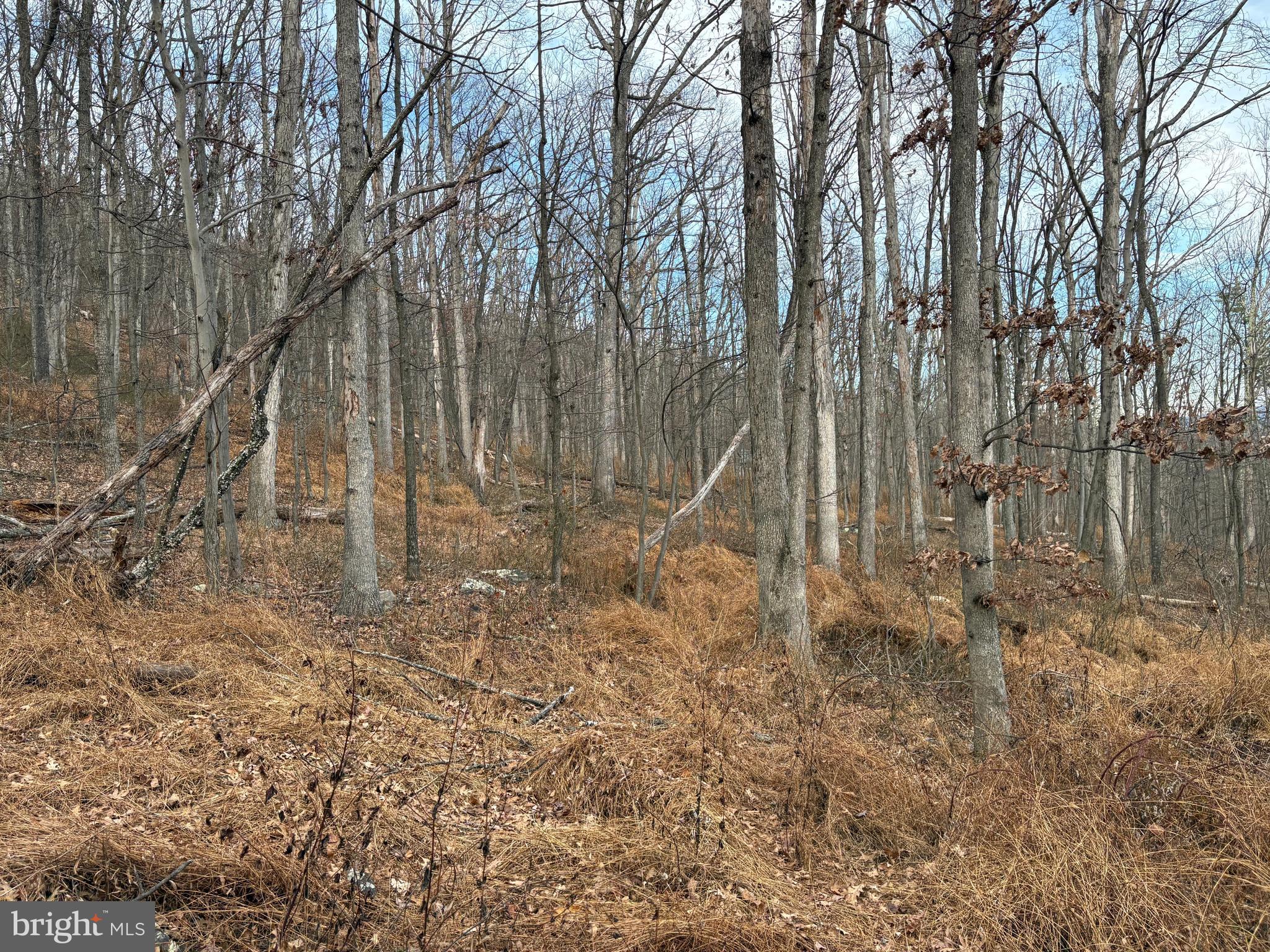 EAGLE MOUNTAIN - Land