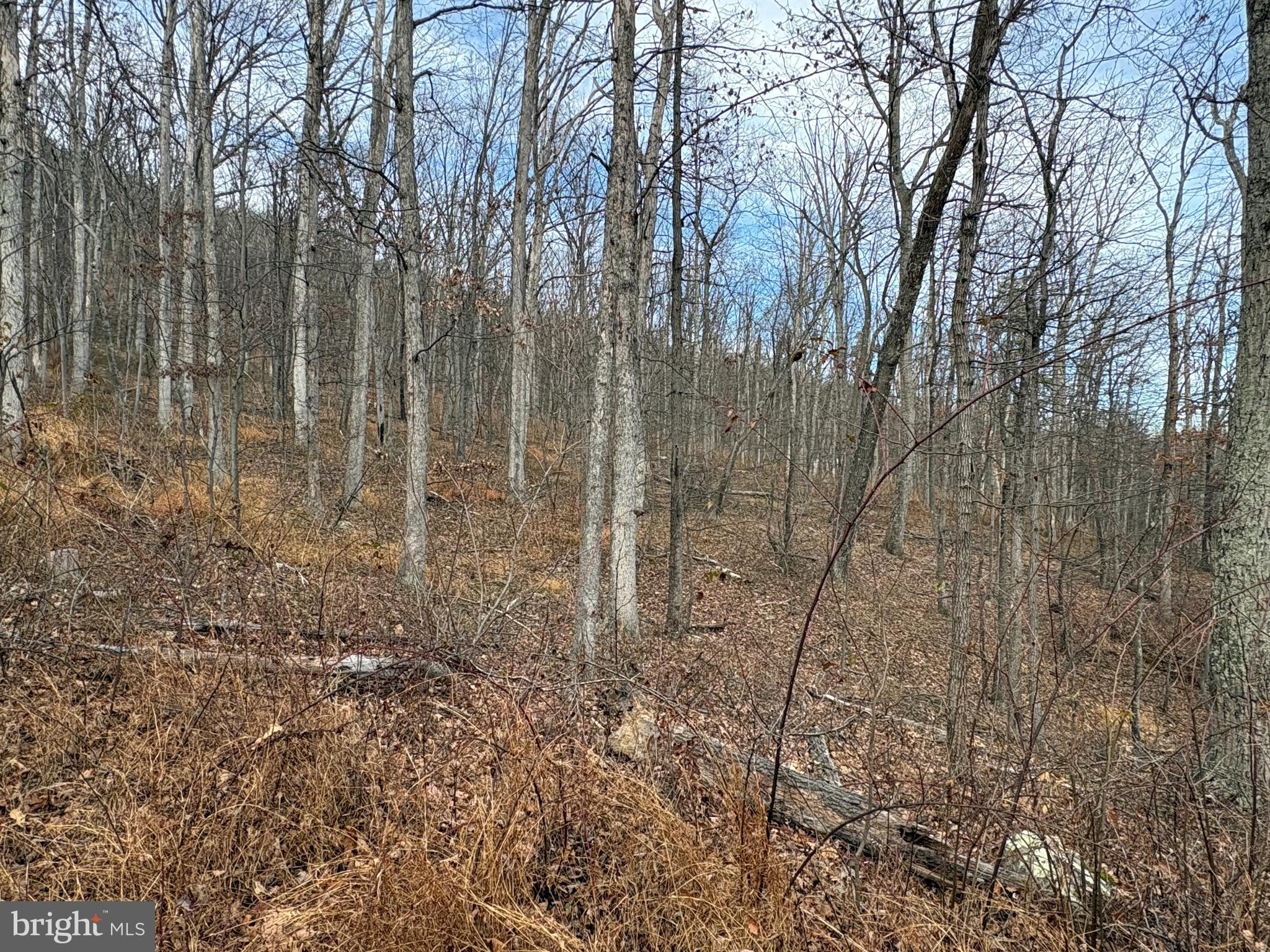 EAGLE MOUNTAIN - Land