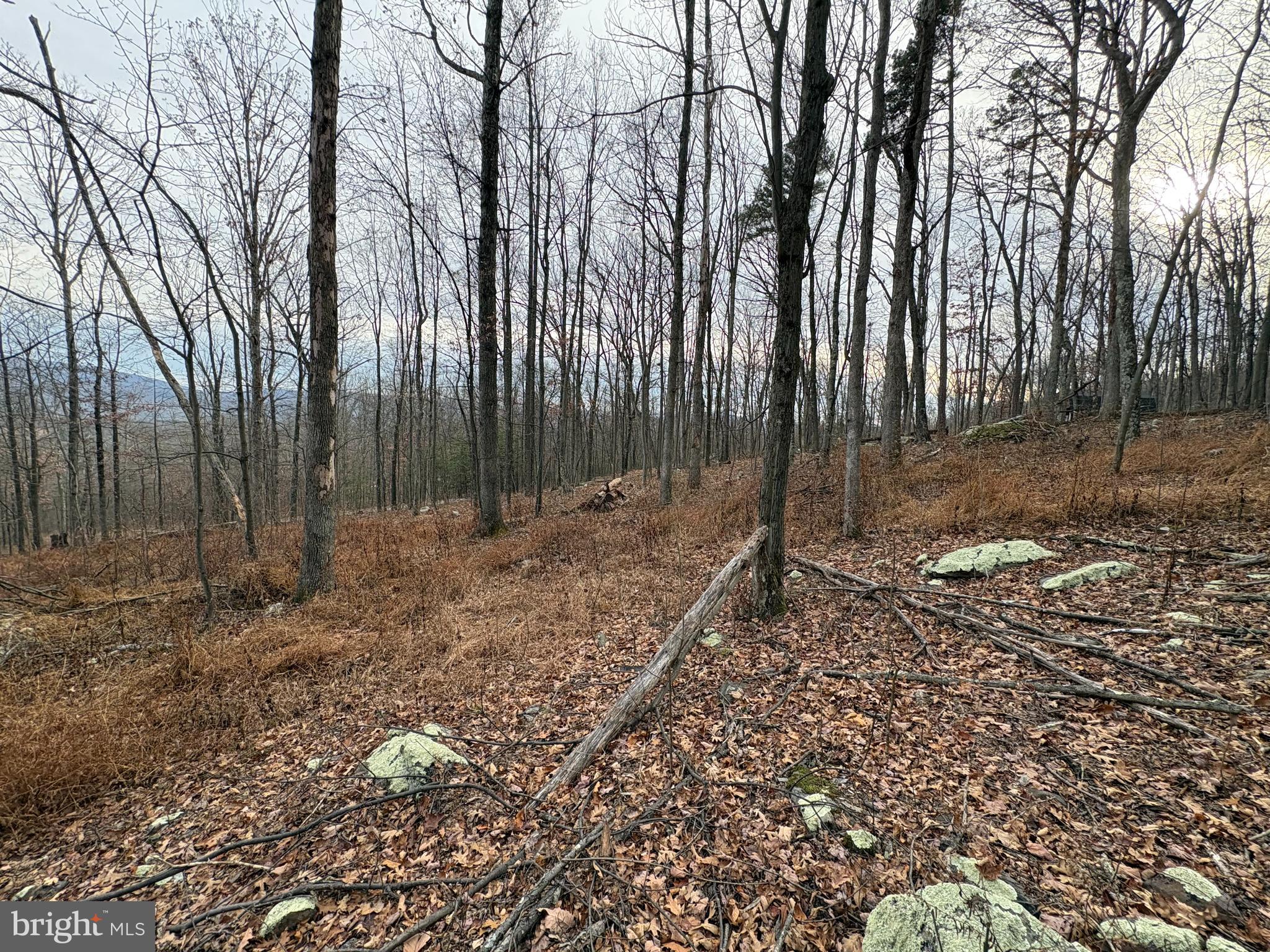 EAGLE MOUNTAIN - Land
