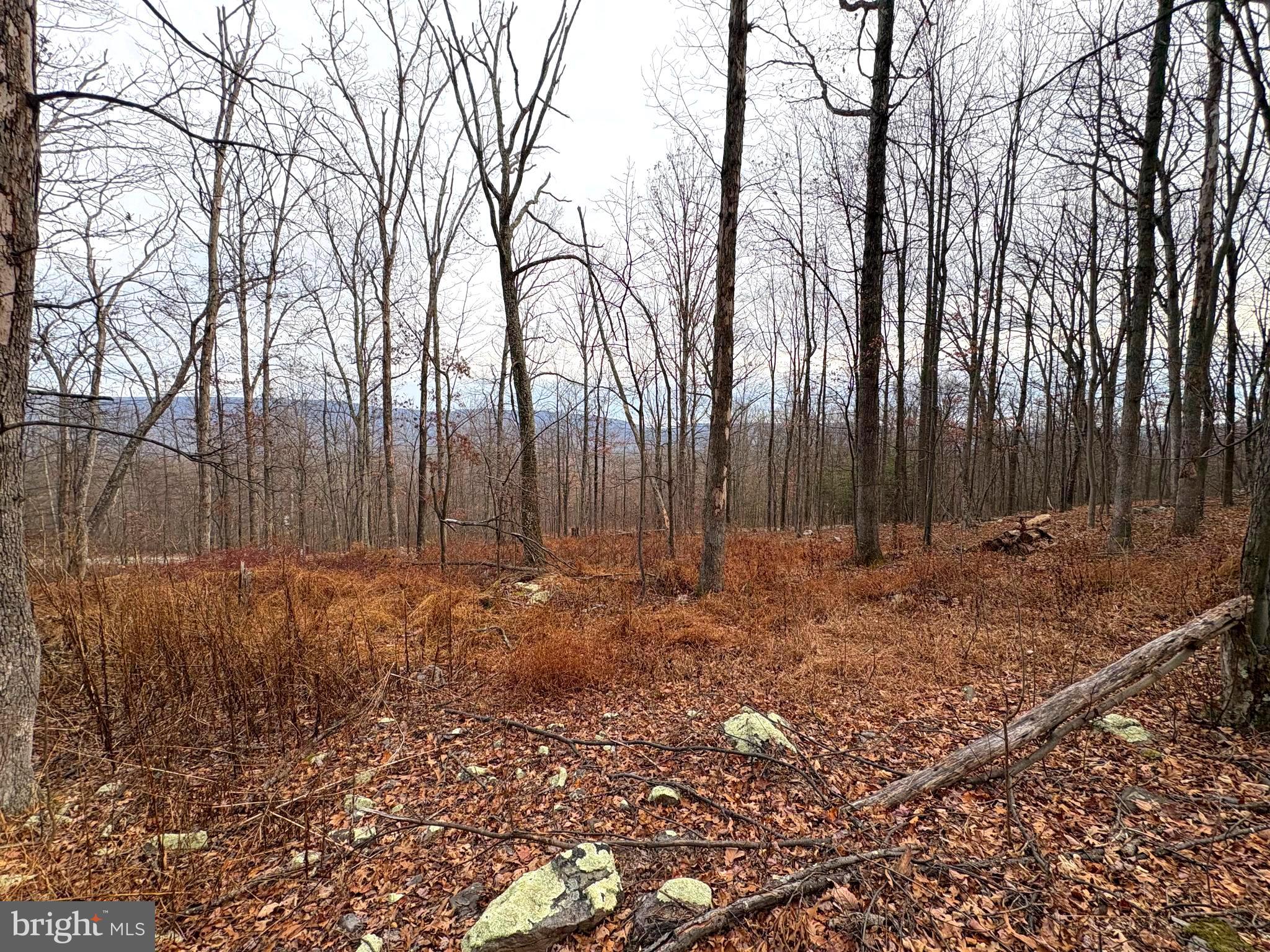 EAGLE MOUNTAIN - Land