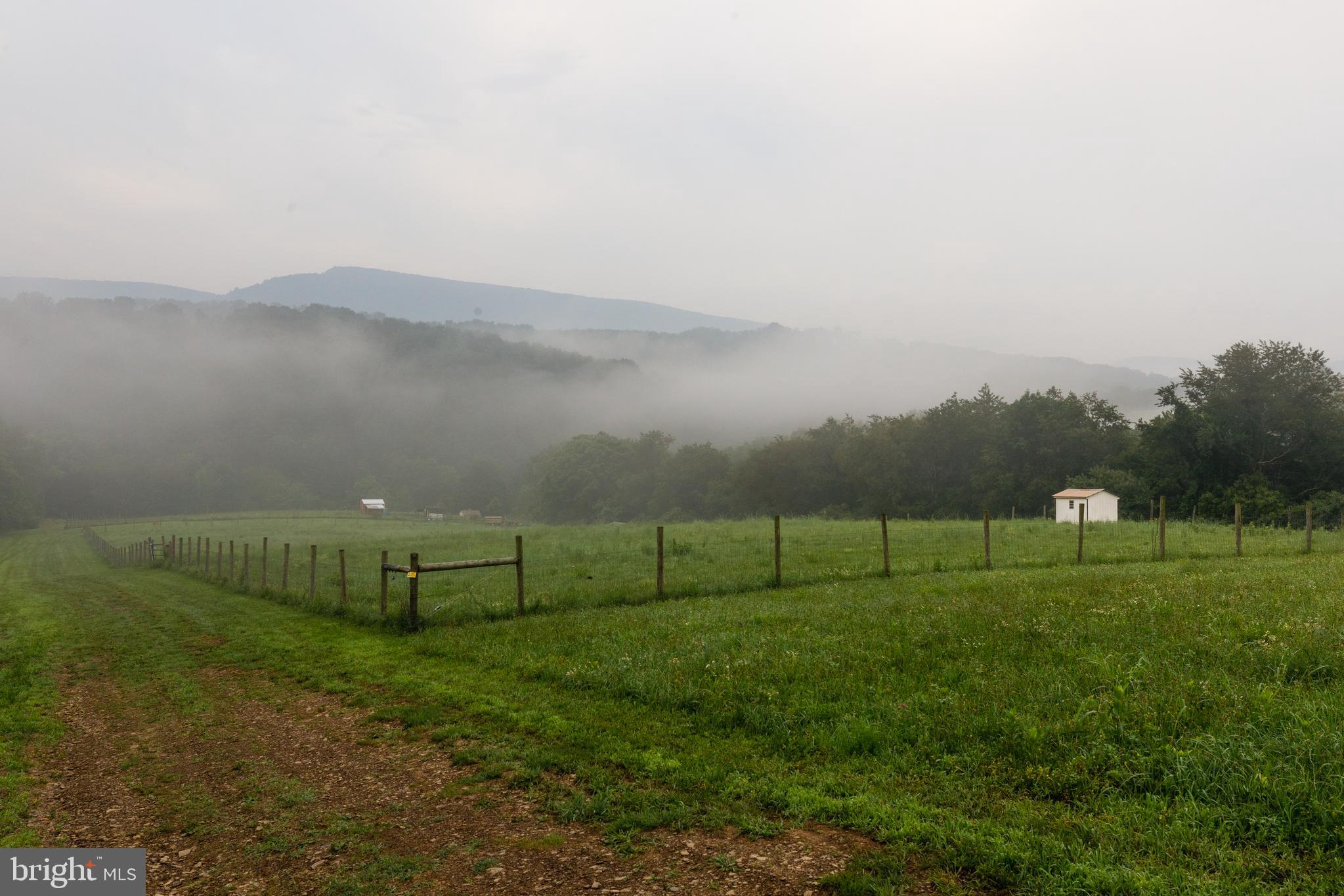 20 ACRE WOODS - Commercial Sale