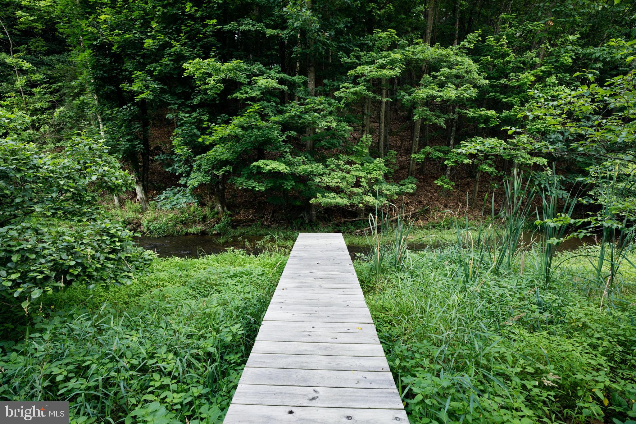 20 ACRE WOODS - Commercial Sale