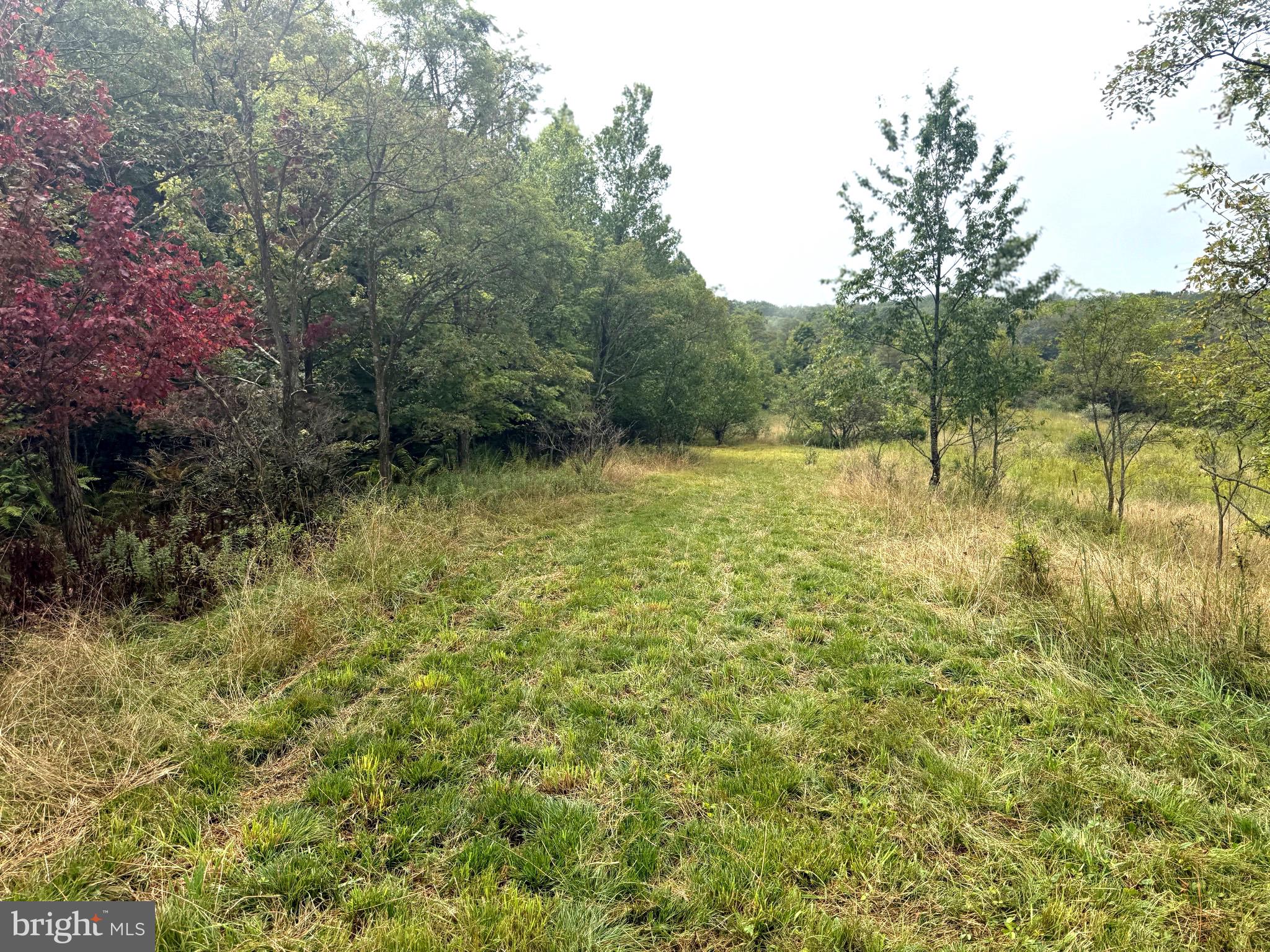 OWN A PIECE OF WEST VIRGINIA! 2.04 (UNRESTRICTED) ACRES.  ONLY A 5 MINUTE DRIVE TO JENNINGS RANCOLPH BOAT LAUNCH OR SWIMMING BEACH.  FULLY WOODED WITH GENTLY SLOPED TO LEVEL TOPOGRAPHY. OPEN PASTURE BOTTOM. MOUNTAIN VIEWS CONVEY! SMALL STOCKED POND, WILDLIFE GALORE!  LONG TREE LINED DRIVEWAY. VERY PRIVATE SETTING.  300’ ROAD FRONTAGE.  ELECTRIC ON SITE.