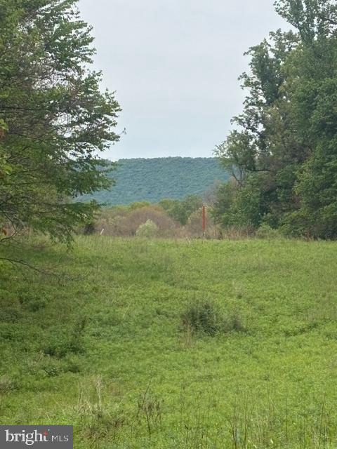 Beautiful 39 -acre wooded property just minutes from Harrisburg offering scenic views, privacy and multiple building sites. Property includes a 35 acre parcel plus two 2-acre lots. The 35-acre is $599,999.  The two  2-acre lots are $200,000 each. They are all perced and probed approved for septic systems ready to build Abundant wildlife and excellent location make this ideal for private estate, recreation, or investment opportunity.