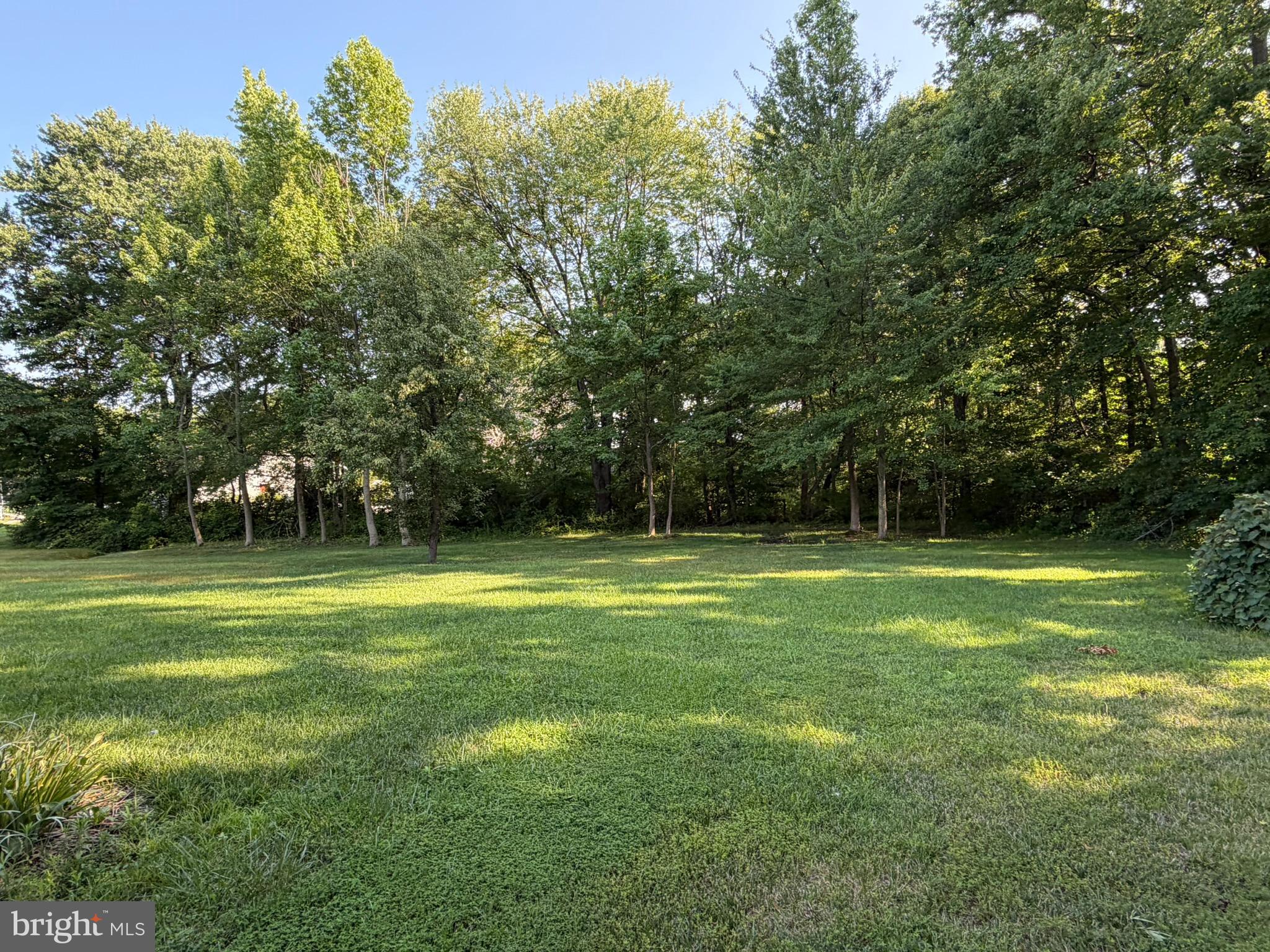 CHANDELEUR WOODS - Residential