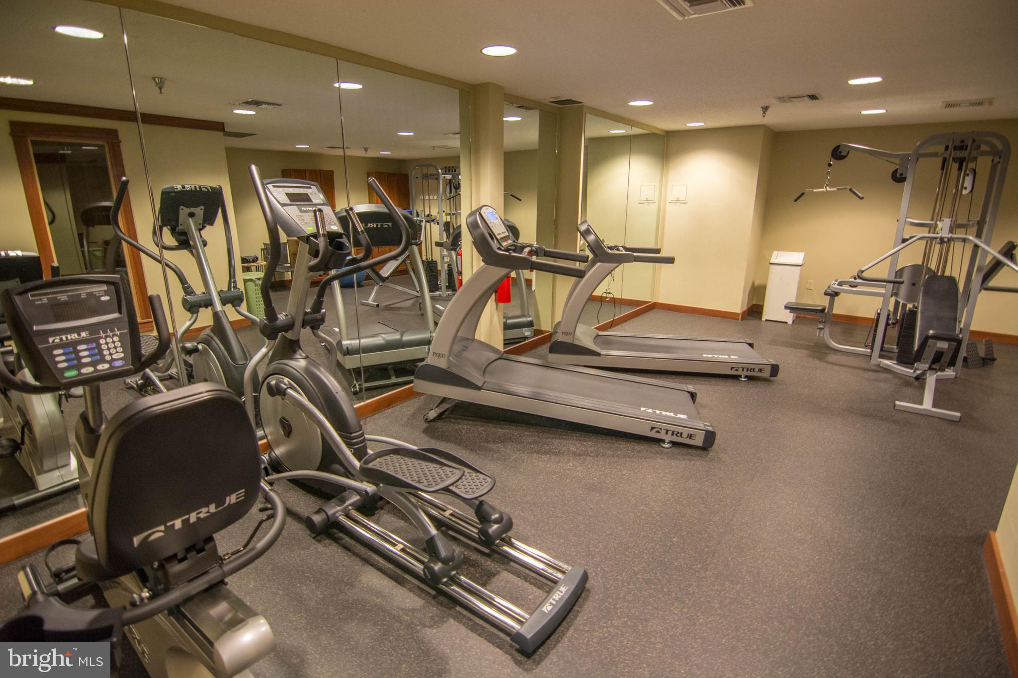 SILVER TREE SUITES - Residential