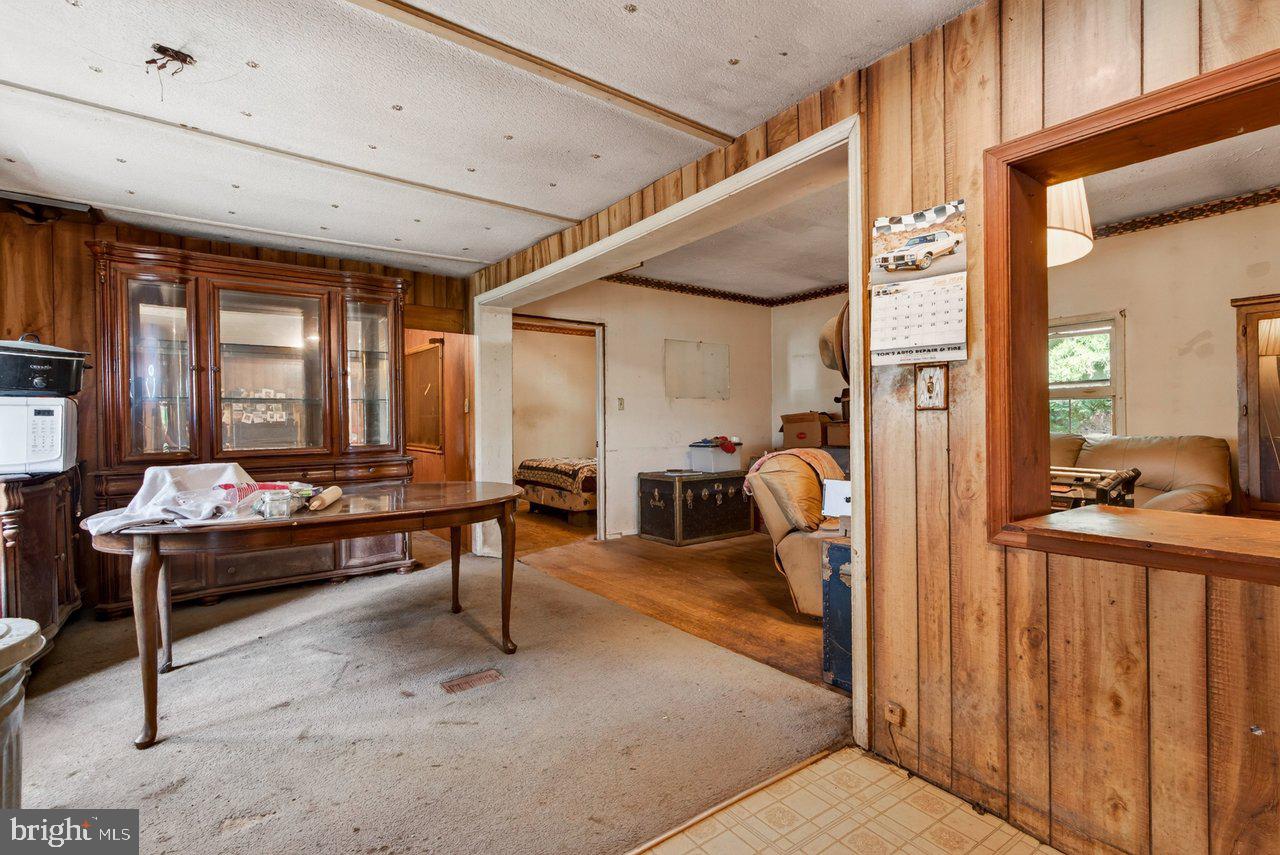 SHENANDOAH FOREST - Residential