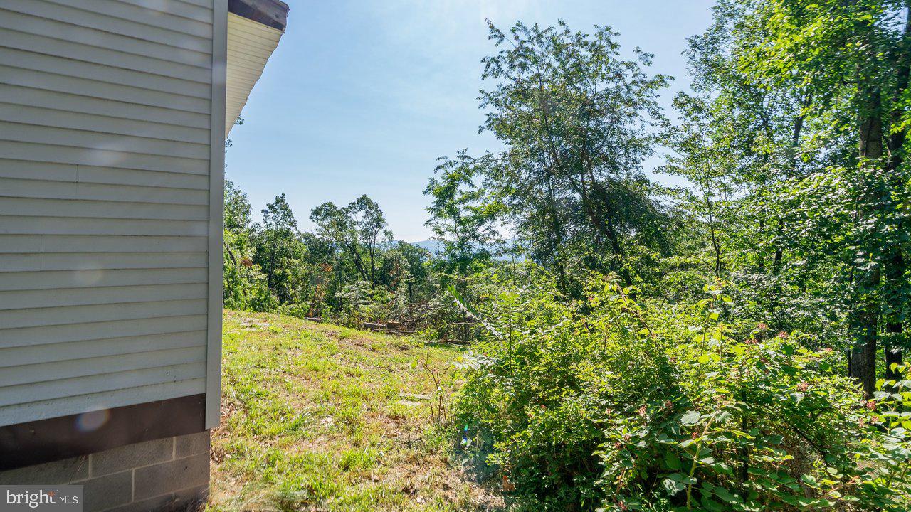 SHENANDOAH FOREST - Residential