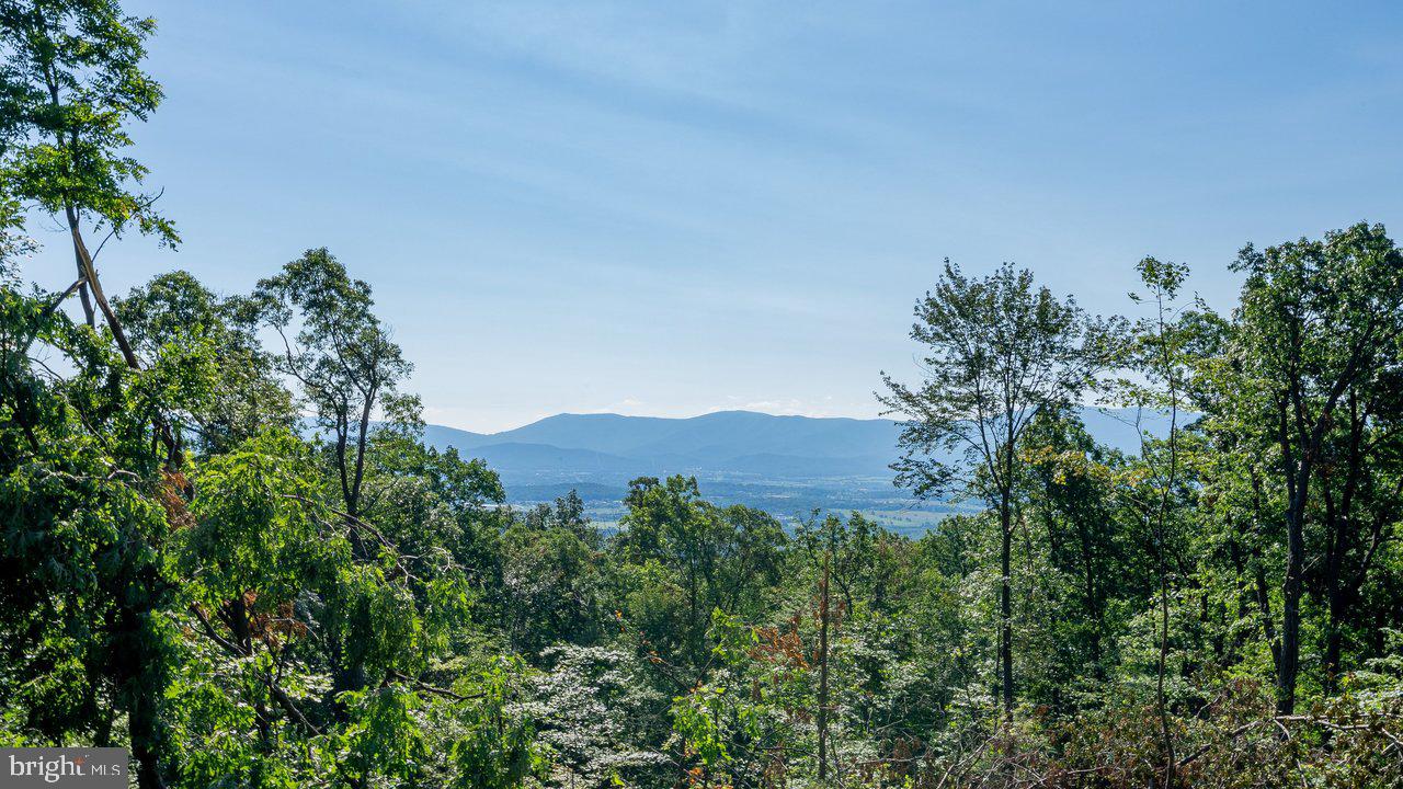 SHENANDOAH FOREST - Residential