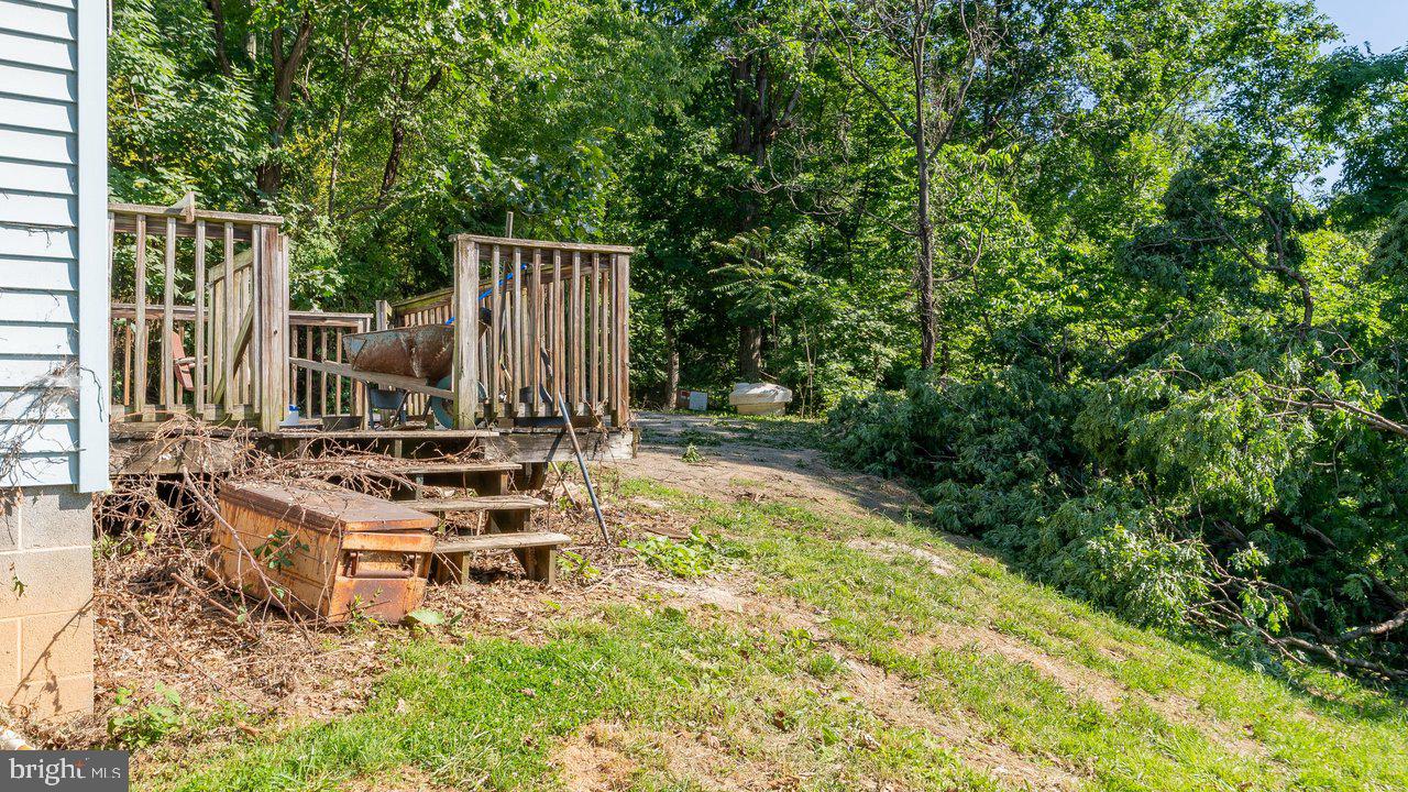 SHENANDOAH FOREST - Residential