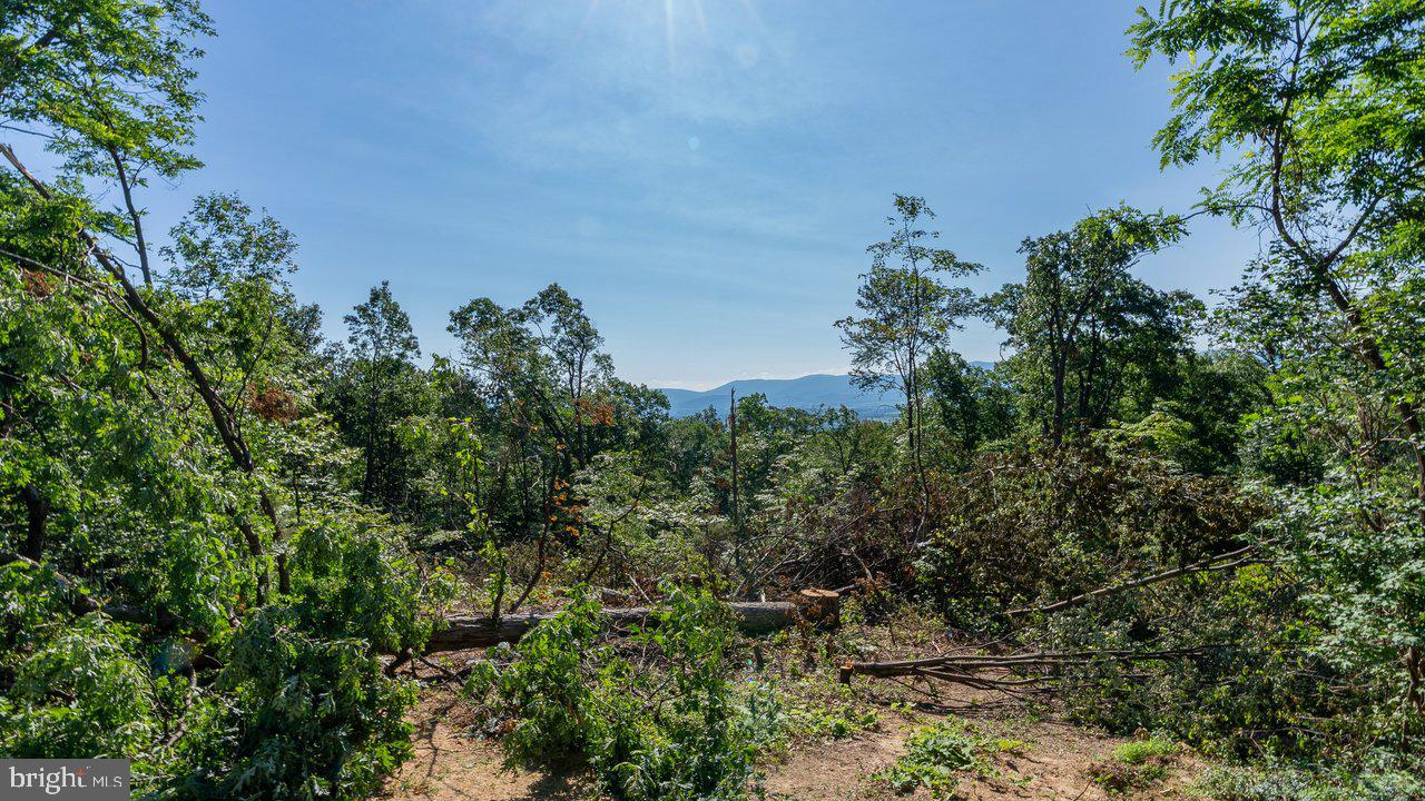 SHENANDOAH FOREST - Residential