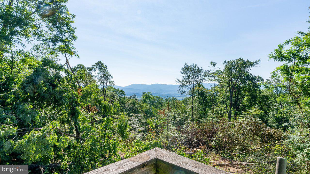 SHENANDOAH FOREST - Residential