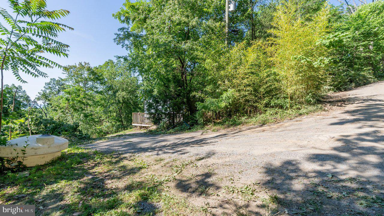 SHENANDOAH FOREST - Residential