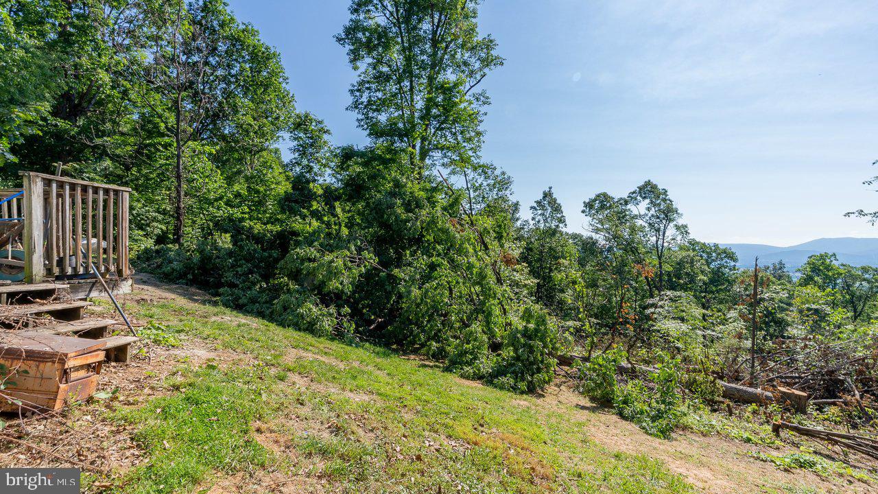 SHENANDOAH FOREST - Residential
