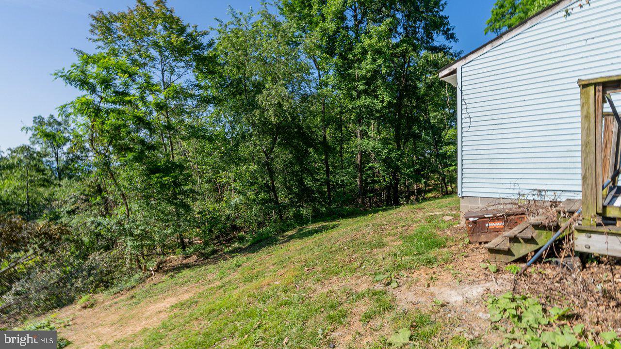 SHENANDOAH FOREST - Residential