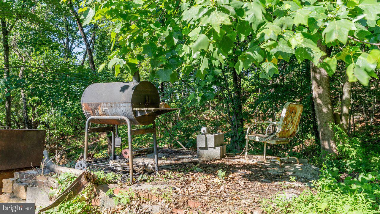 SHENANDOAH FOREST - Residential