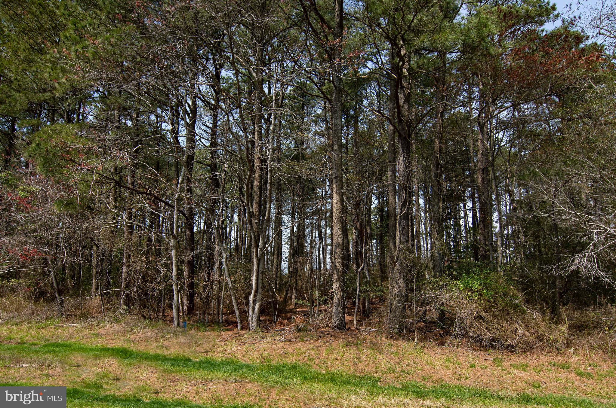 Are you looking to build your dream home? Look no further! This lot in the resort town of Captain's Cove VA is the perfect spot for you! Start enjoying all that this community has to offer. The many amenities include 2 outdoor pools and 1 indoor pool, tennis courts, the community marina and boat ramp, exercise room, the playground and restaurant at the Marina Club. Minutes to the beach! Just a short ride to Ocean City, MD, Chincoteague Island or Assateague Island.