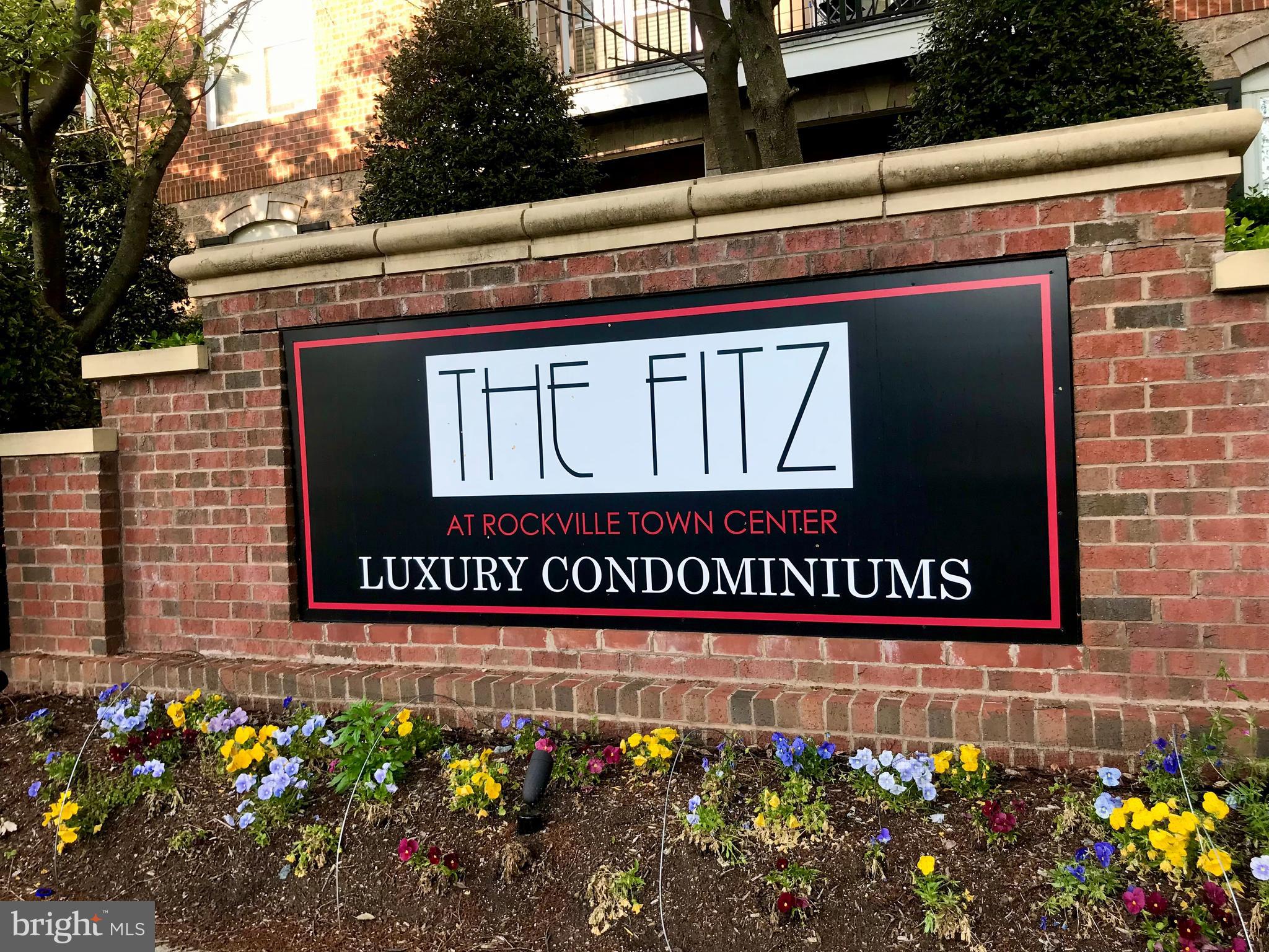 THE FITZ - Residential