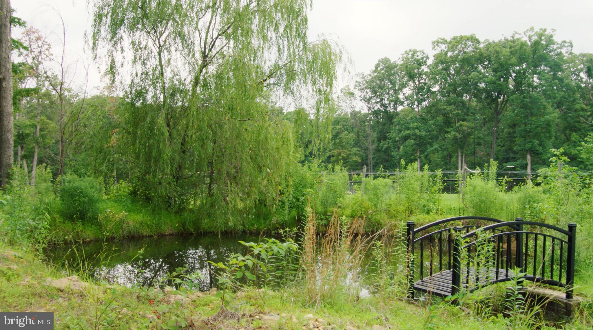 BRADDOCK WOODS - Residential