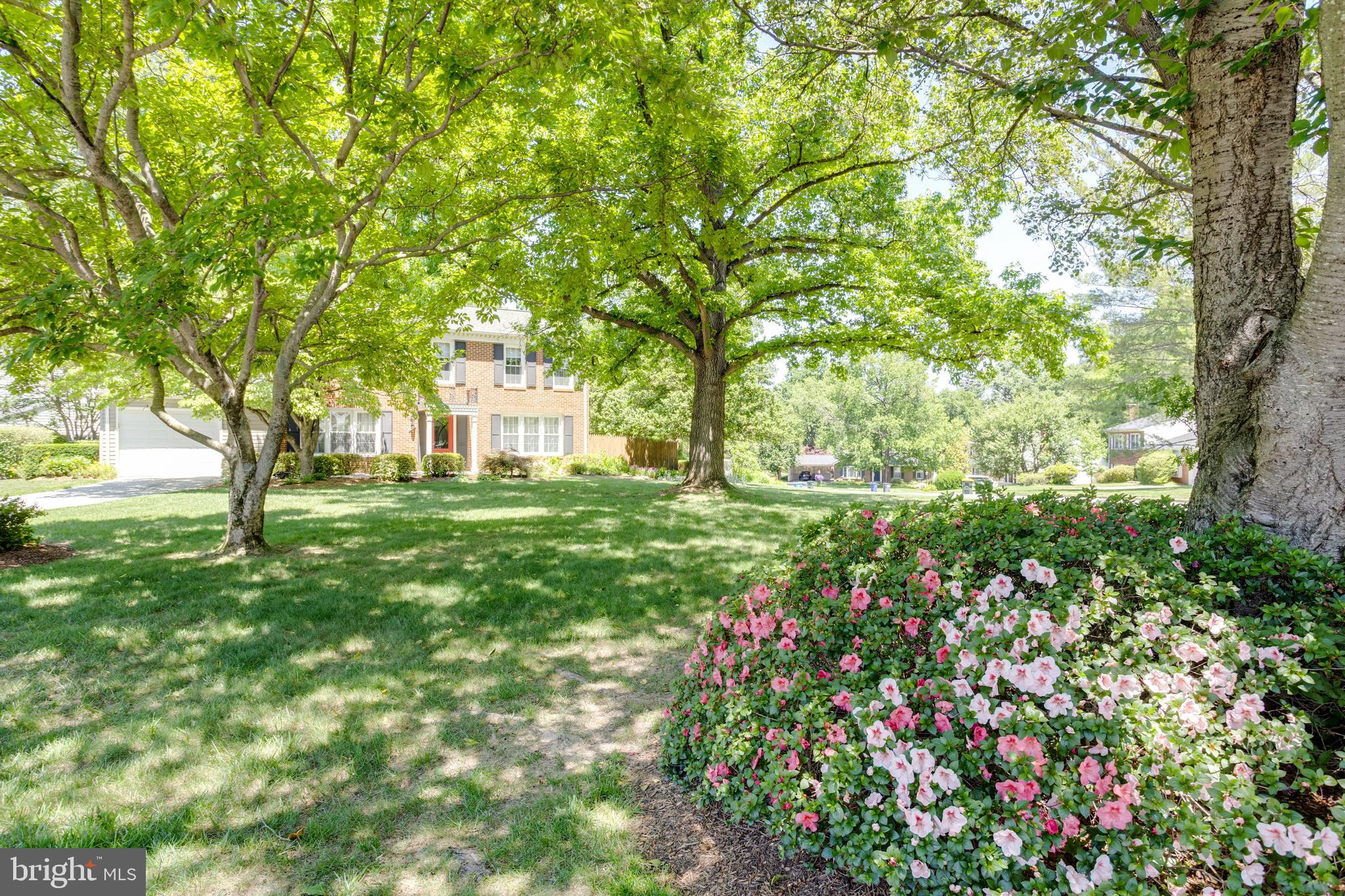 OAK HILL - Residential