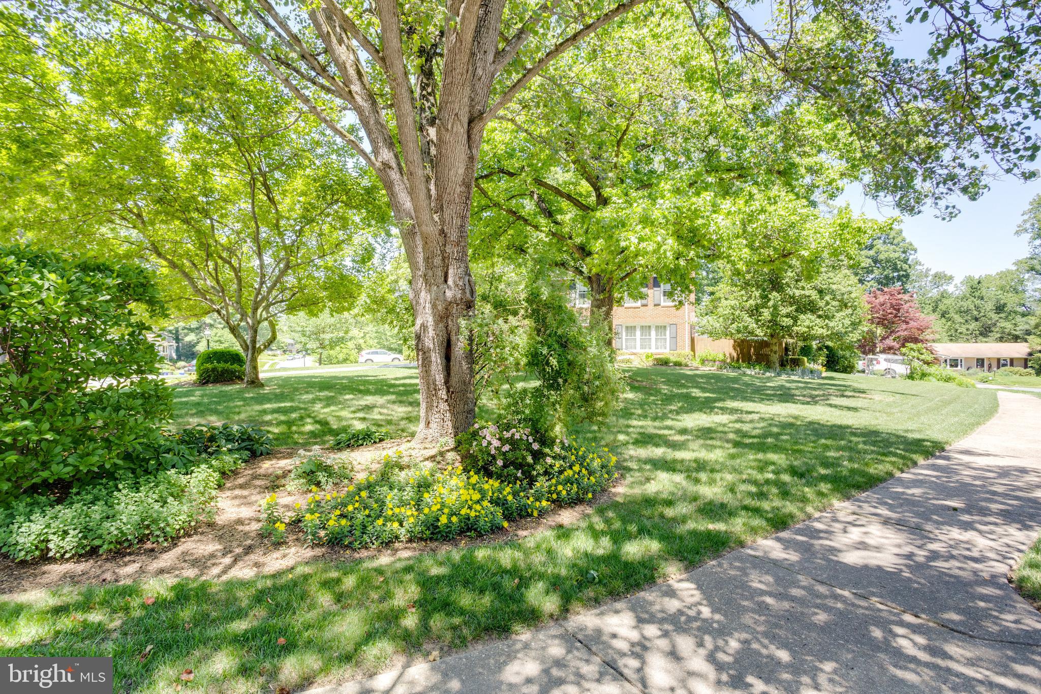 OAK HILL - Residential