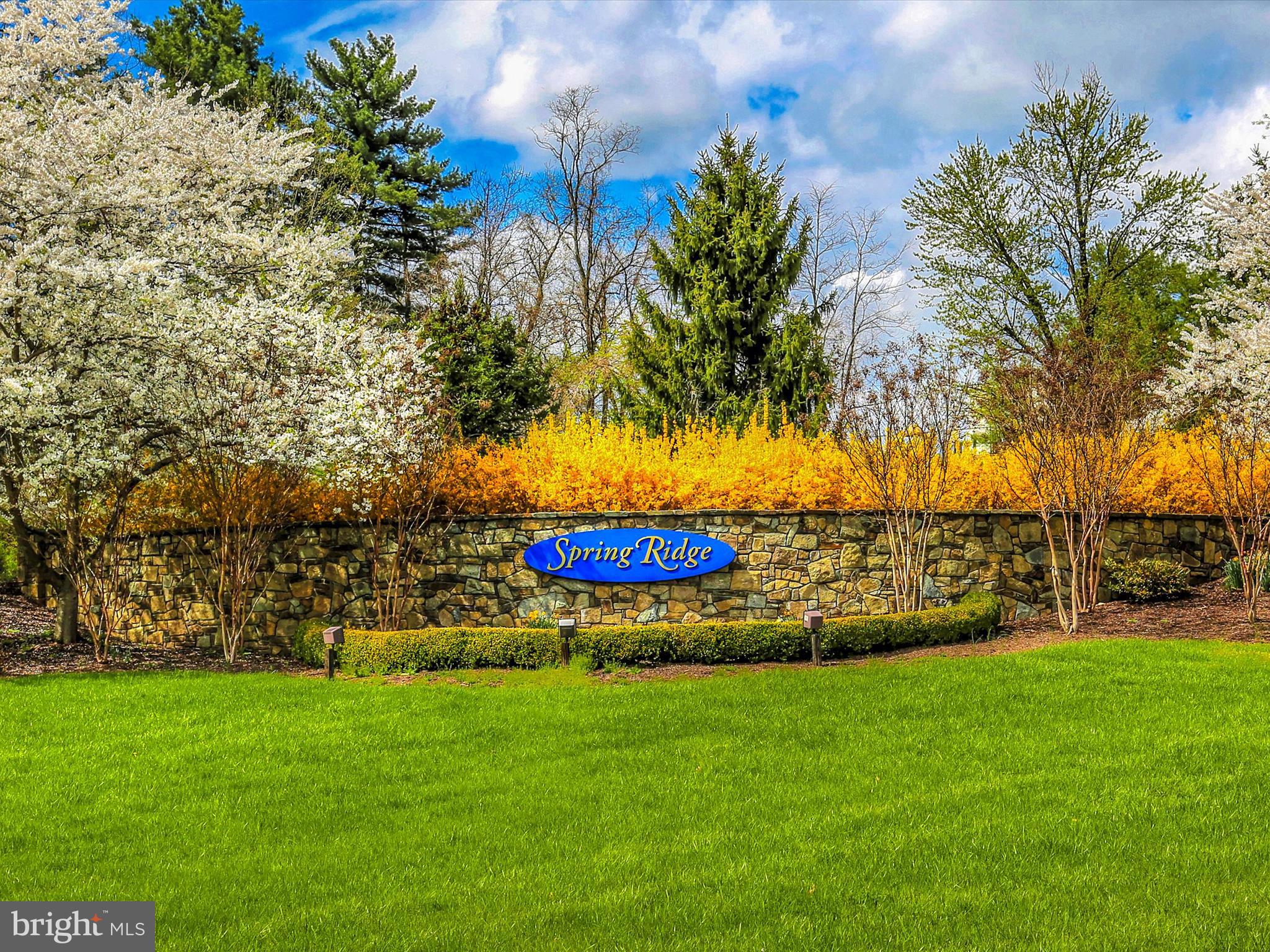 SPRING RIDGE - Residential