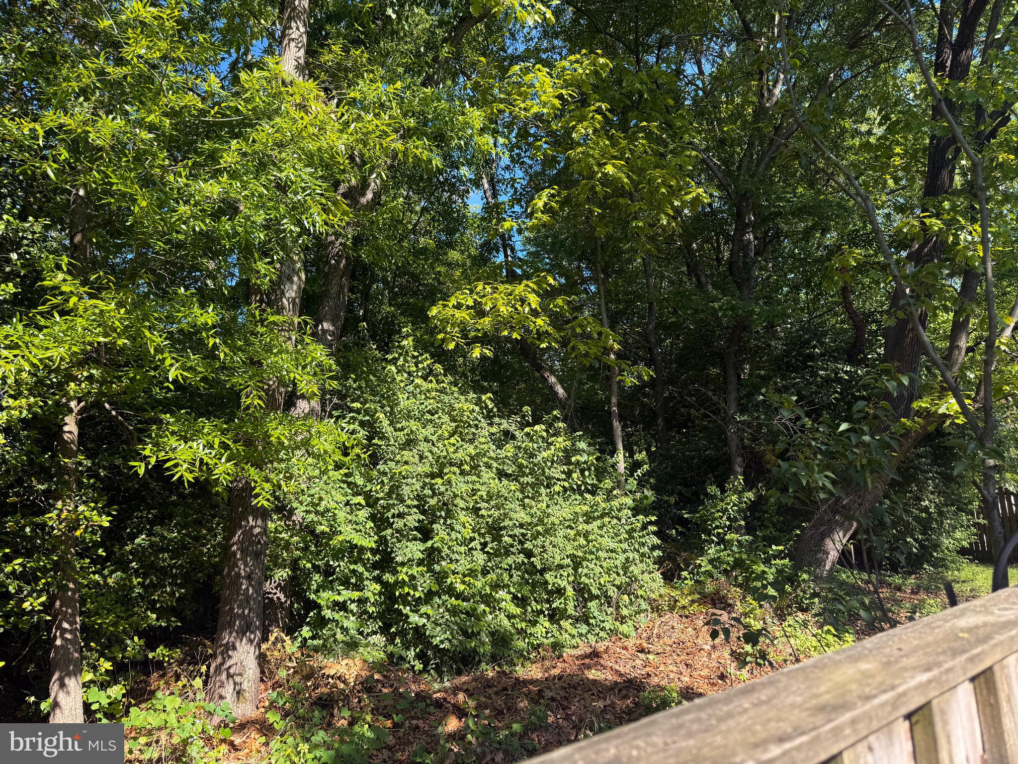 DUMONT OAKS - Residential Lease